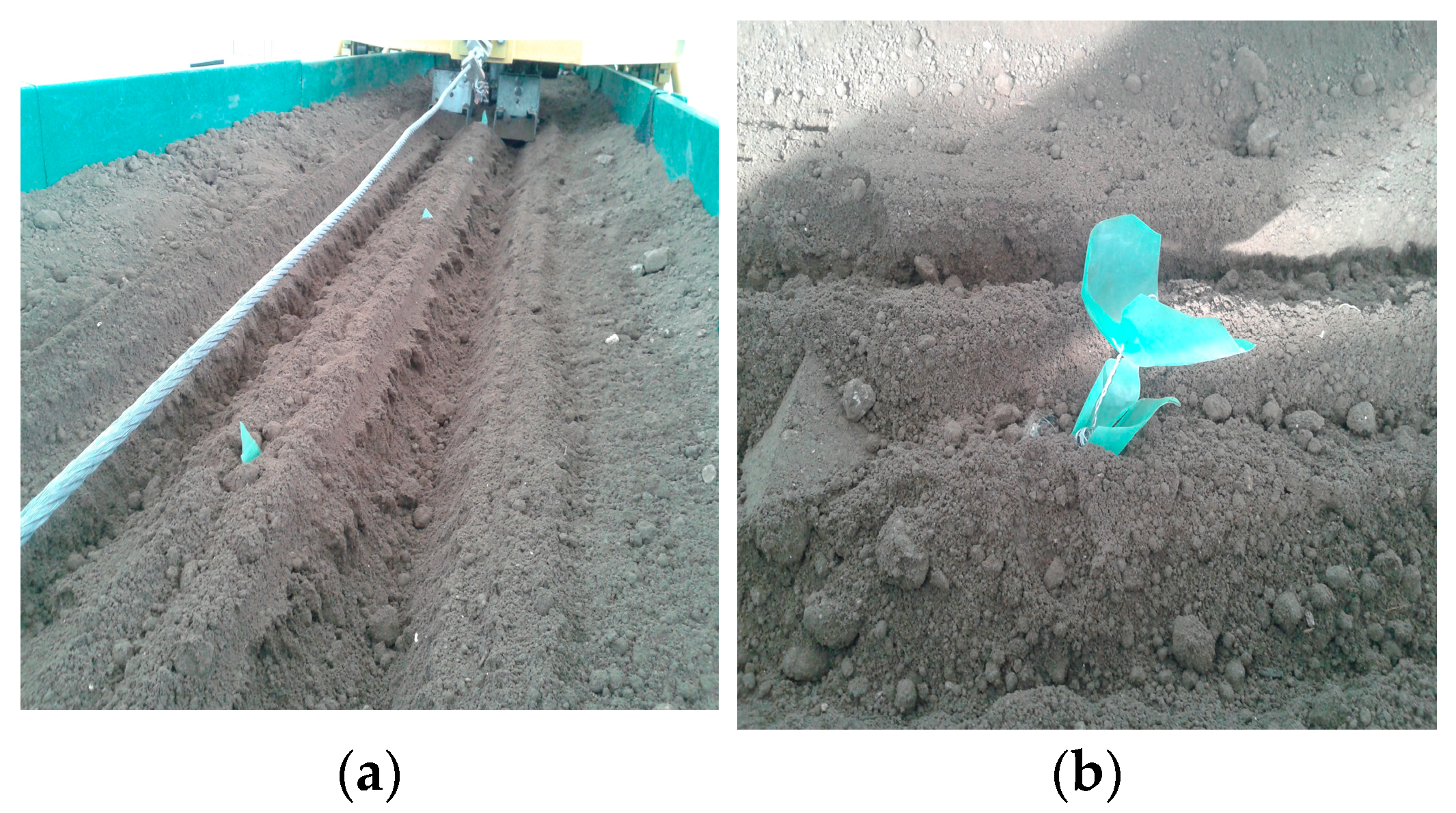 Agriculture 14 00388 g020