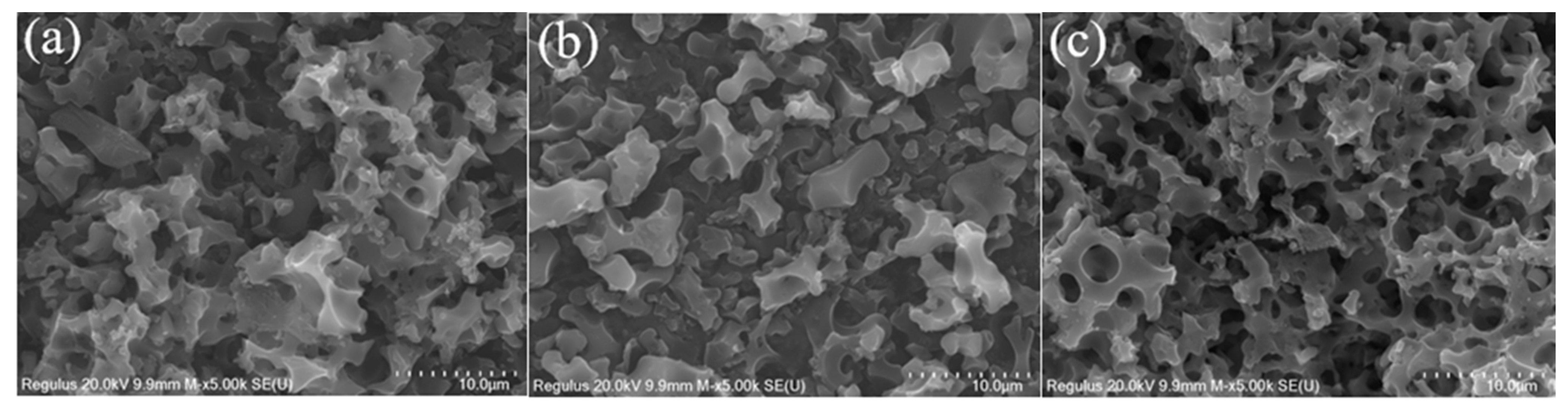 Agriculture 14 00392 g019