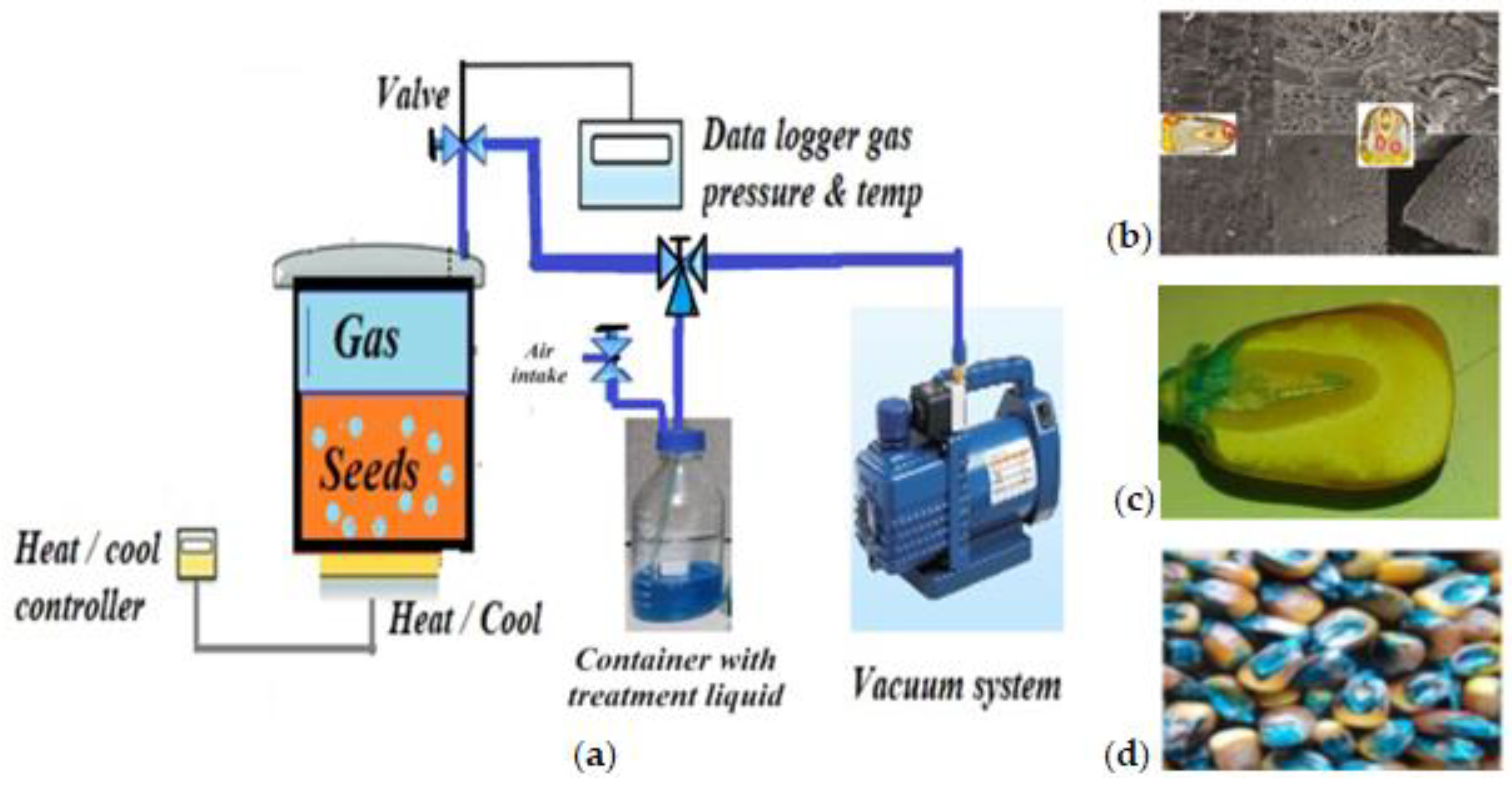 Agriculture 14 00397 g001