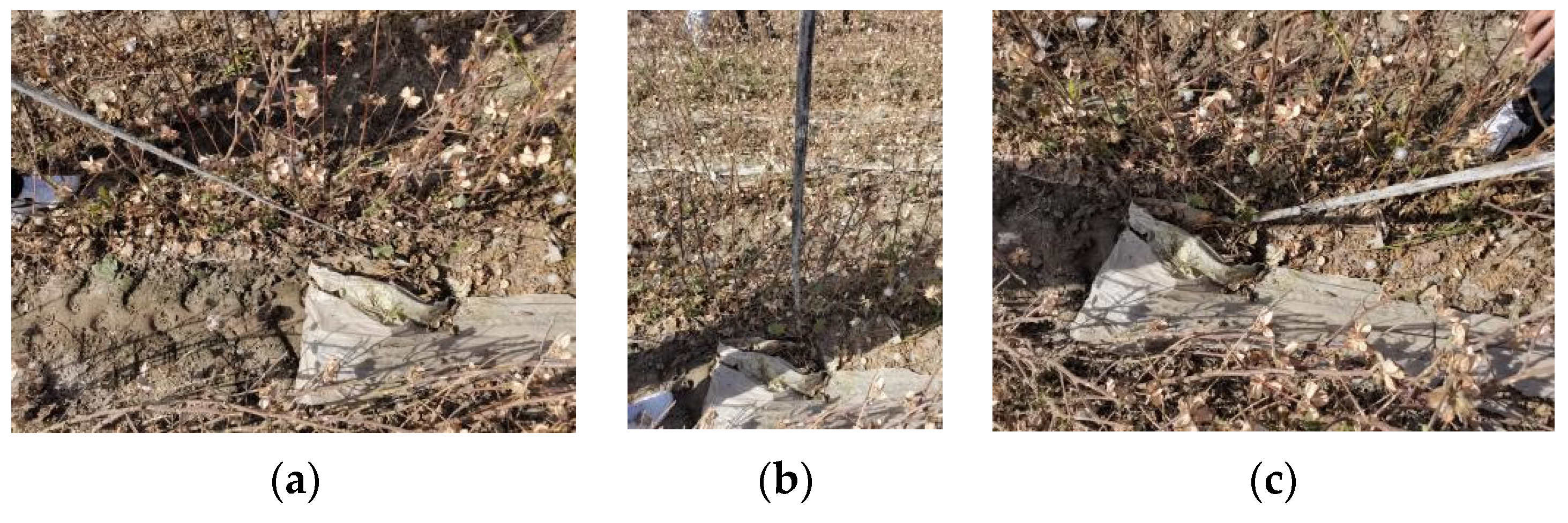 Agriculture 14 00421 g003 Agriculture 14 00421 g003