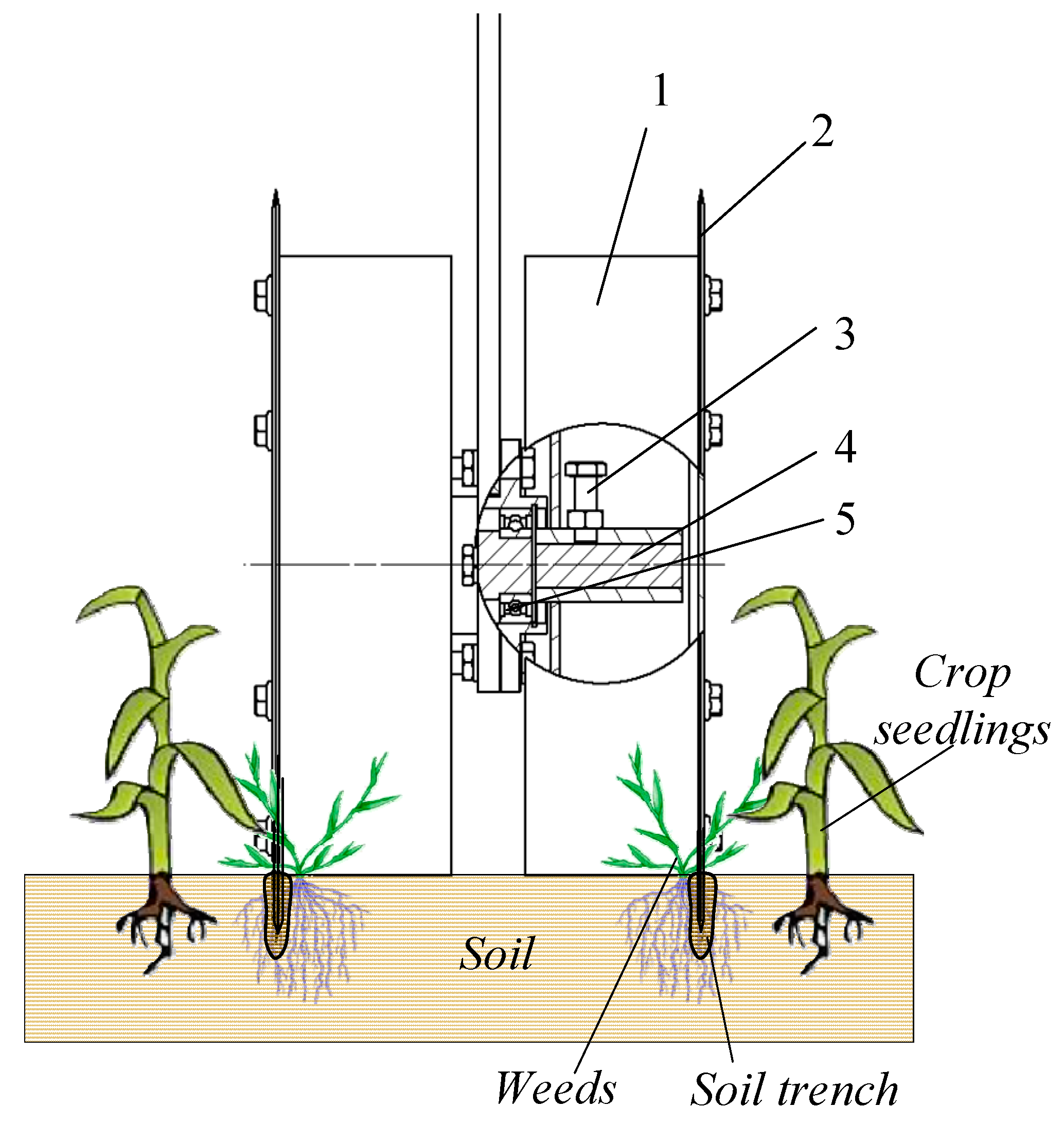 Agriculture 14 00435 g006 Agriculture 14 00435 g006