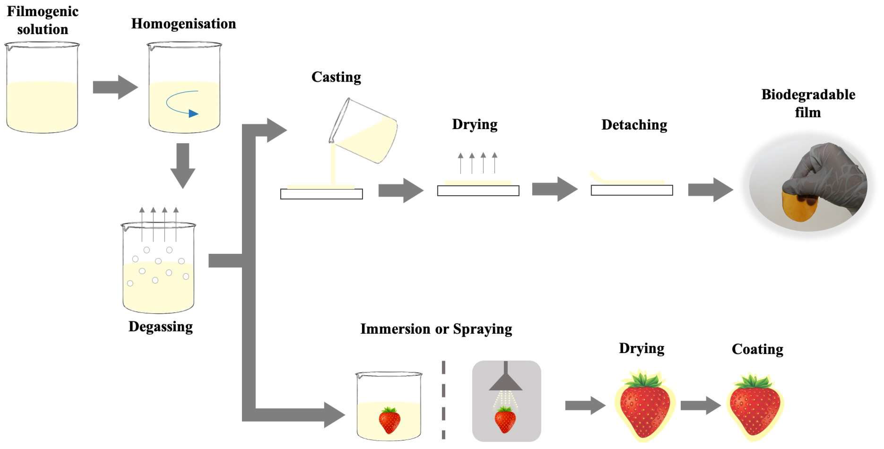 Agriculture 14 00453 g003