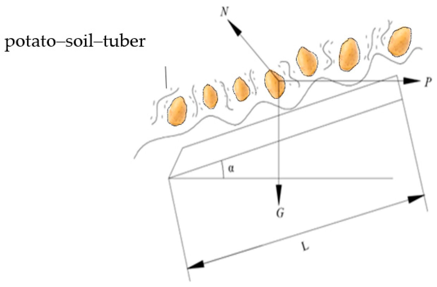 Agriculture 14 00454 g004