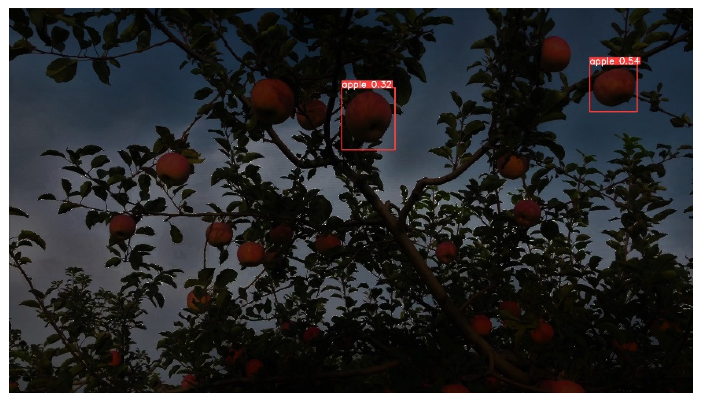 Agriculture 14 00485 g001