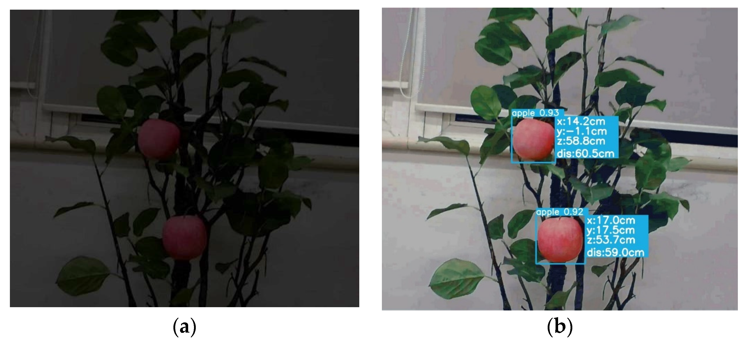 Agriculture 14 00485 g011