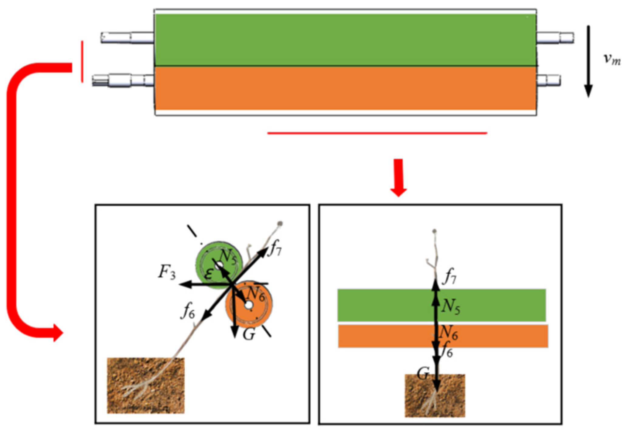 Agriculture 14 00506 g006
