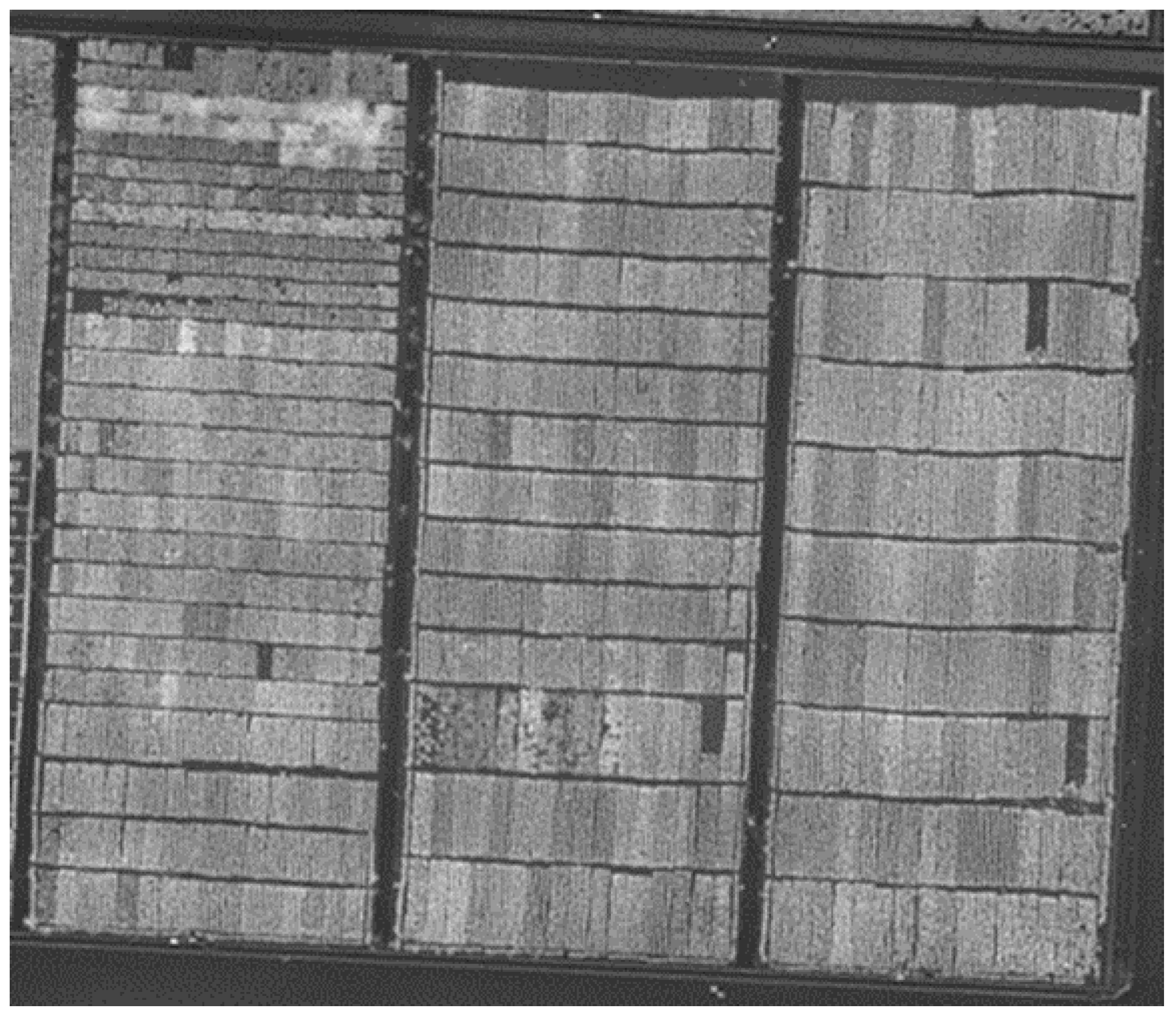 Agriculture 14 00513 g001 Agriculture 14 00513 g001