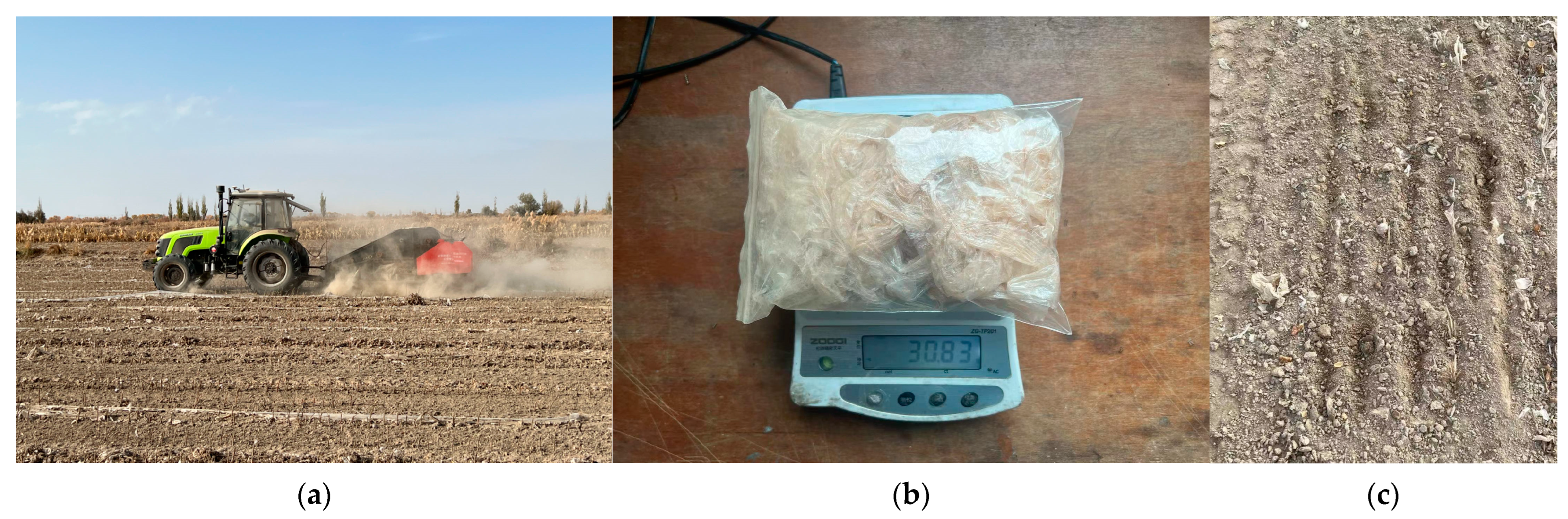 Agriculture 14 00524 g013