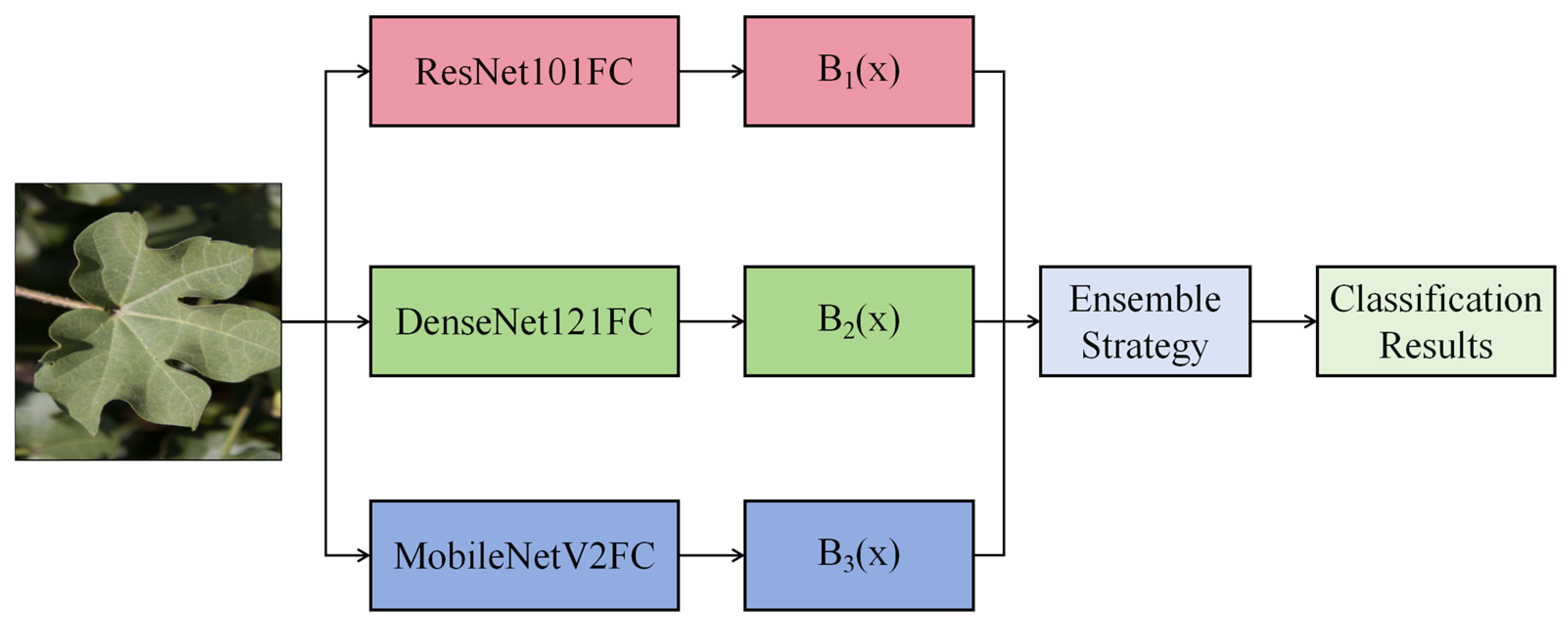 Agriculture 14 00525 g003