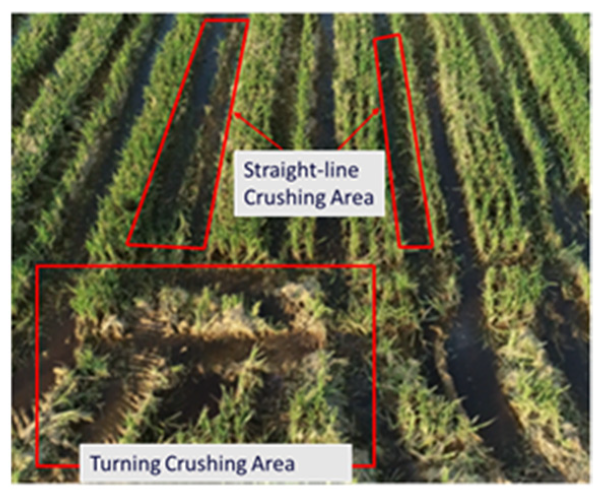 Agriculture 14 00534 g001