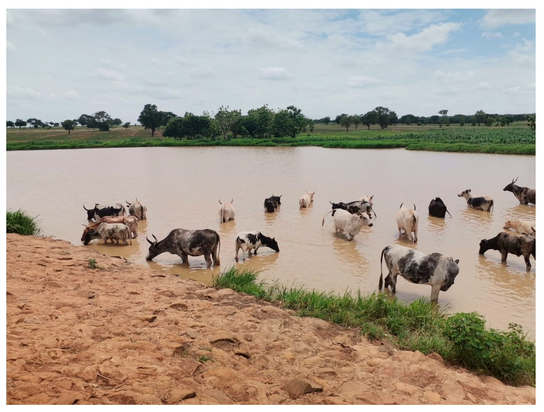 Agriculture 14 00546 g004