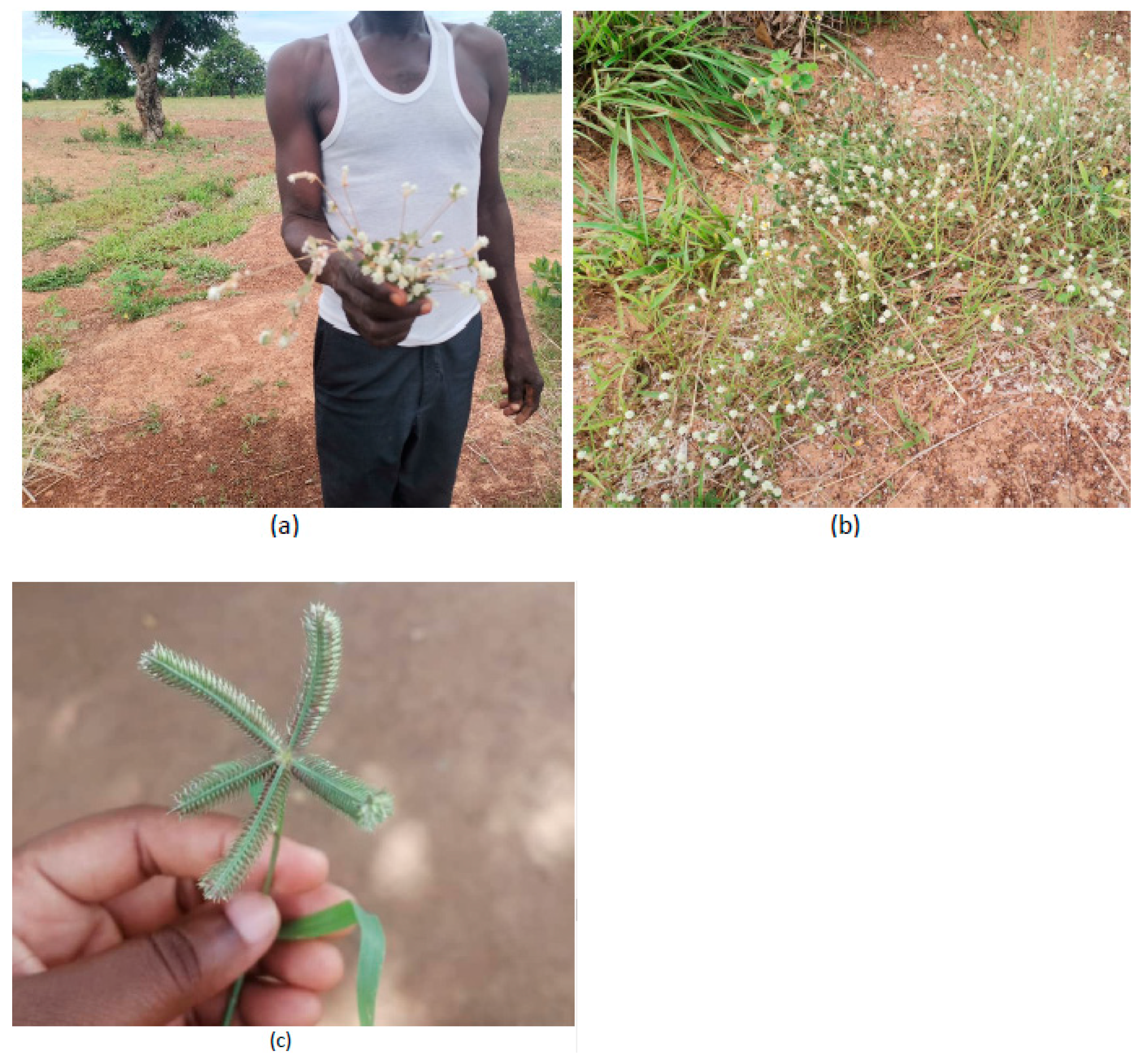 Agriculture 14 00546 g005