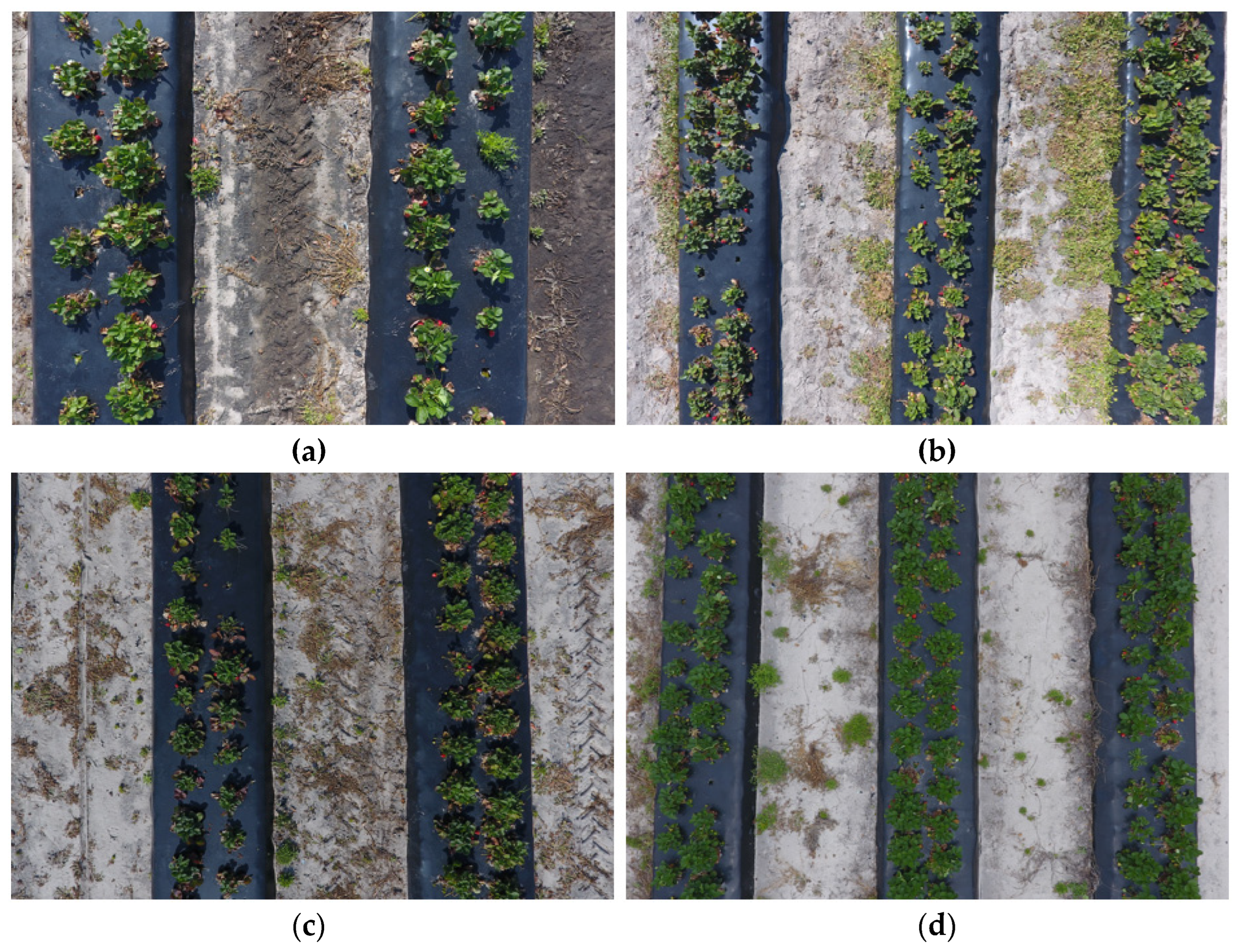 Agriculture 14 00560 g001