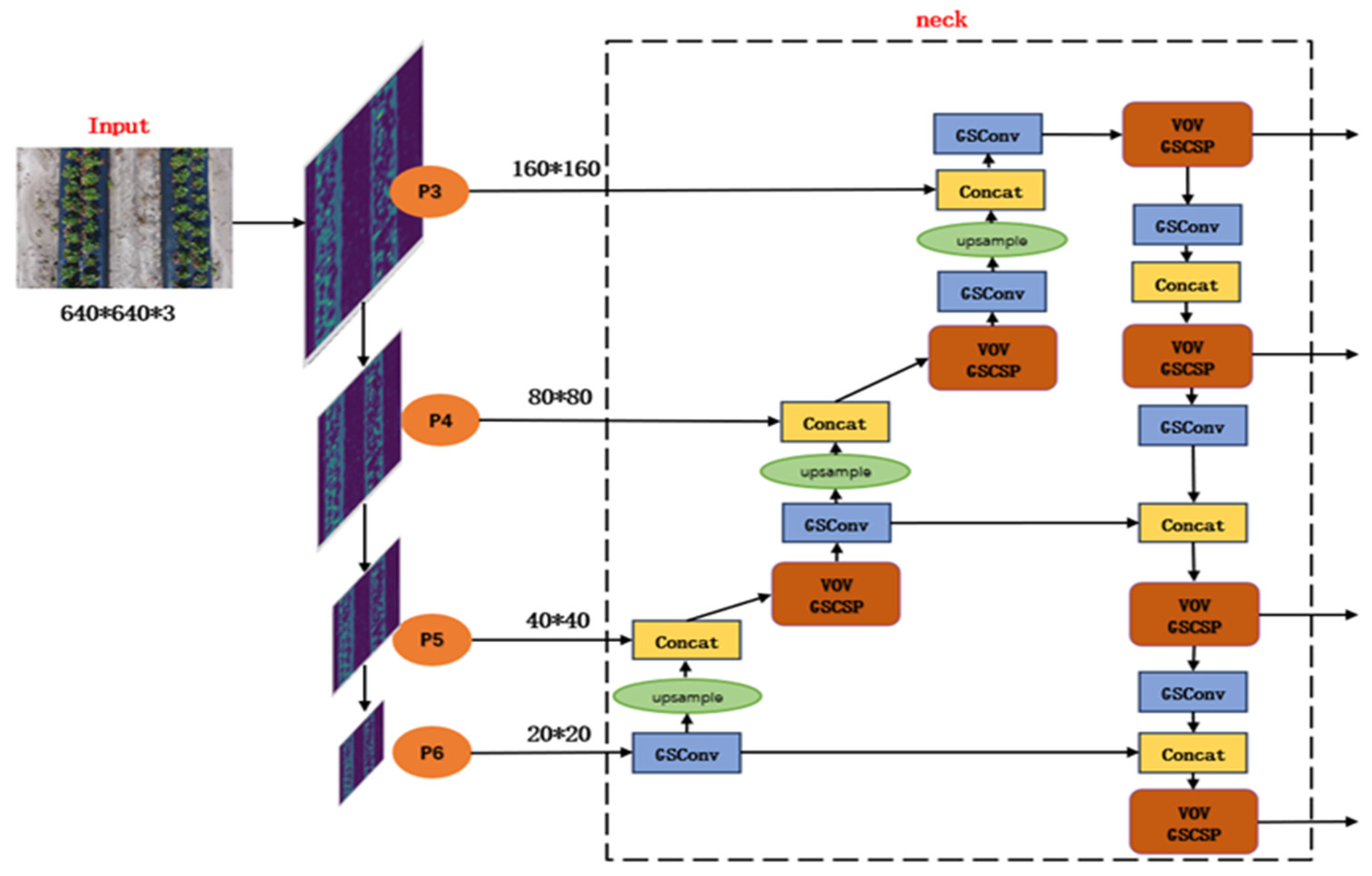 Agriculture 14 00560 g005