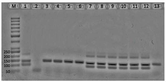 Agriculture 14 00571 g0a1