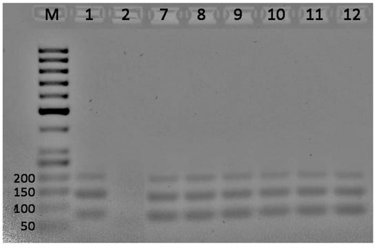 Agriculture 14 00571 g0a3