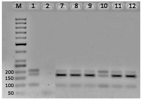 Agriculture 14 00571 g0a4