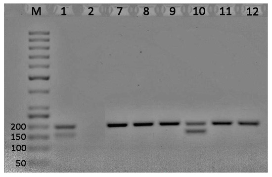 Agriculture 14 00571 g0a5