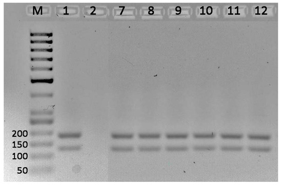 Agriculture 14 00571 g0a6