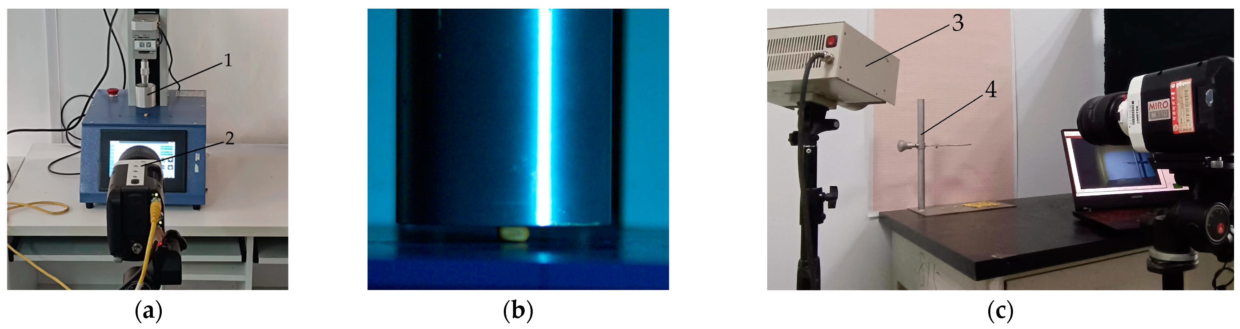 Agriculture 14 00587 g006