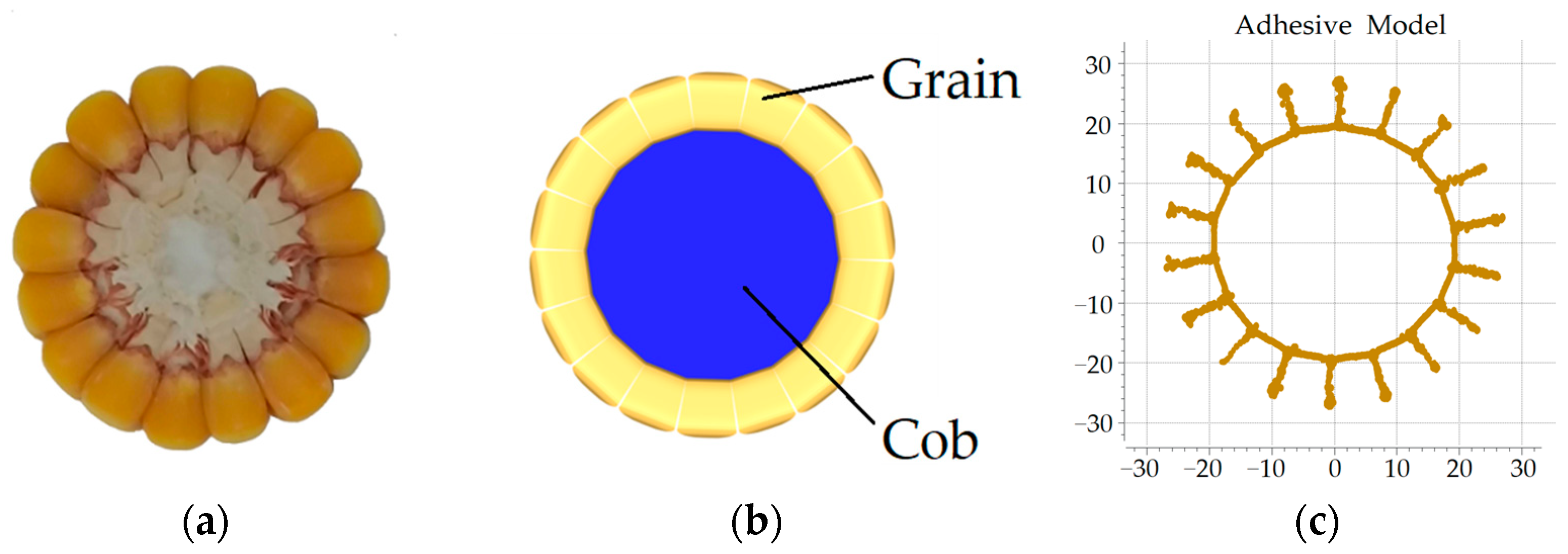 Agriculture 14 00587 g007