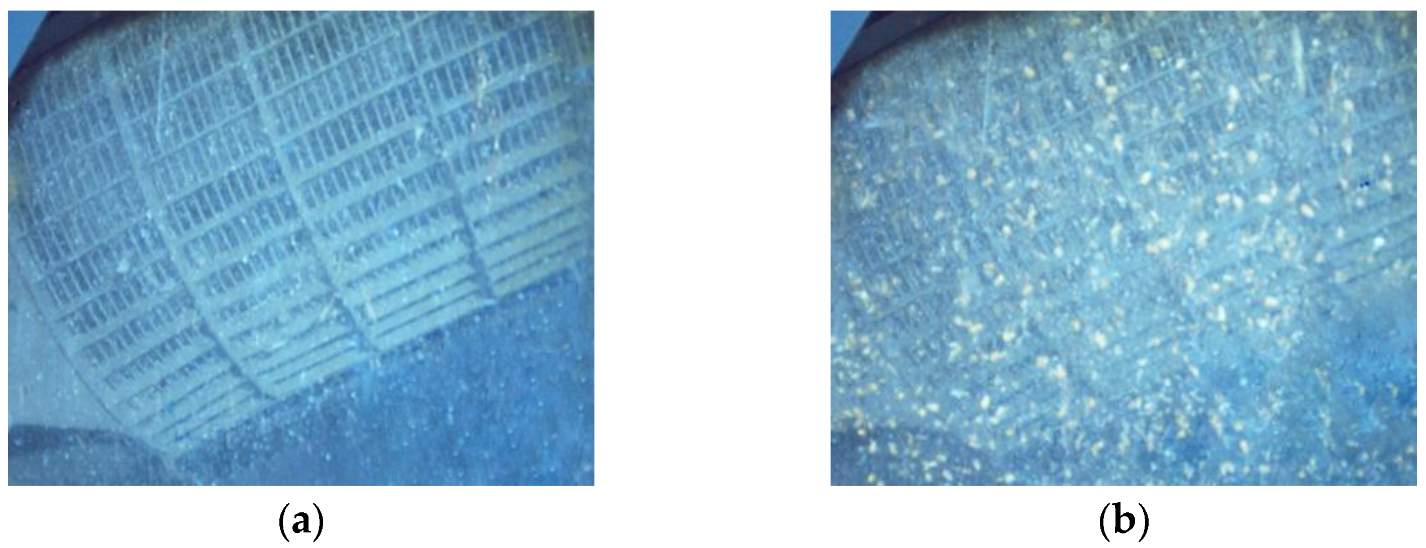 Agriculture 14 00587 g017