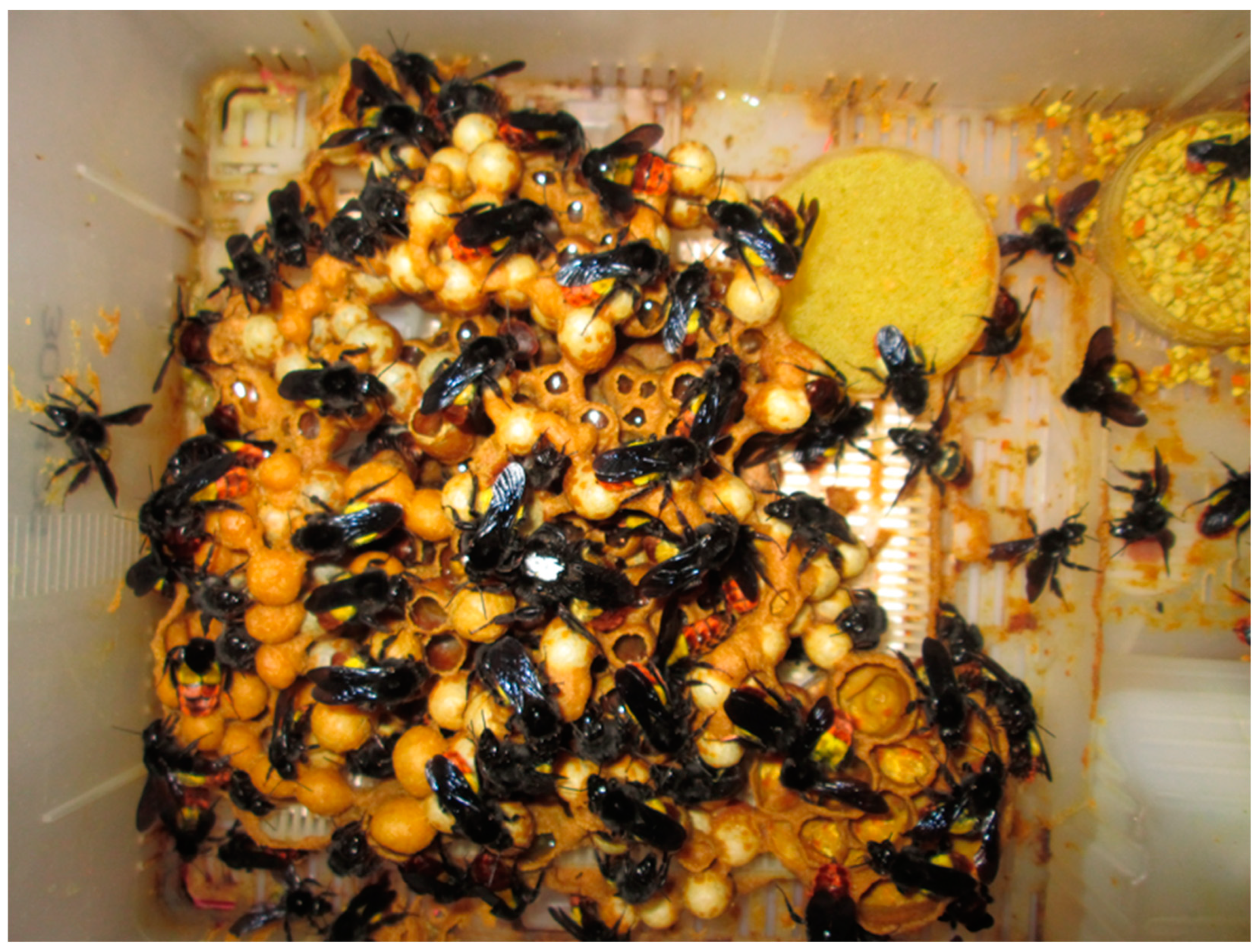 Agriculture 14 00590 g001