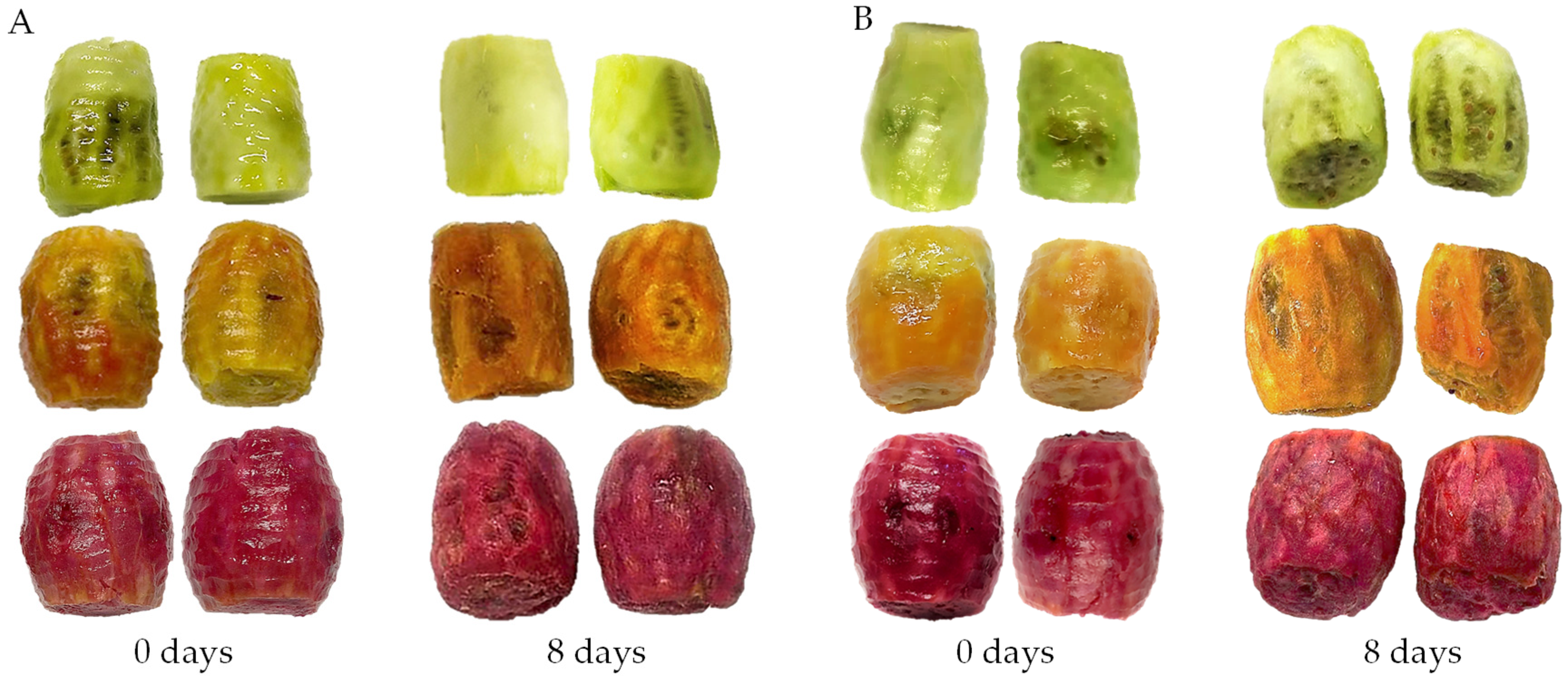 Agriculture 14 00594 g002