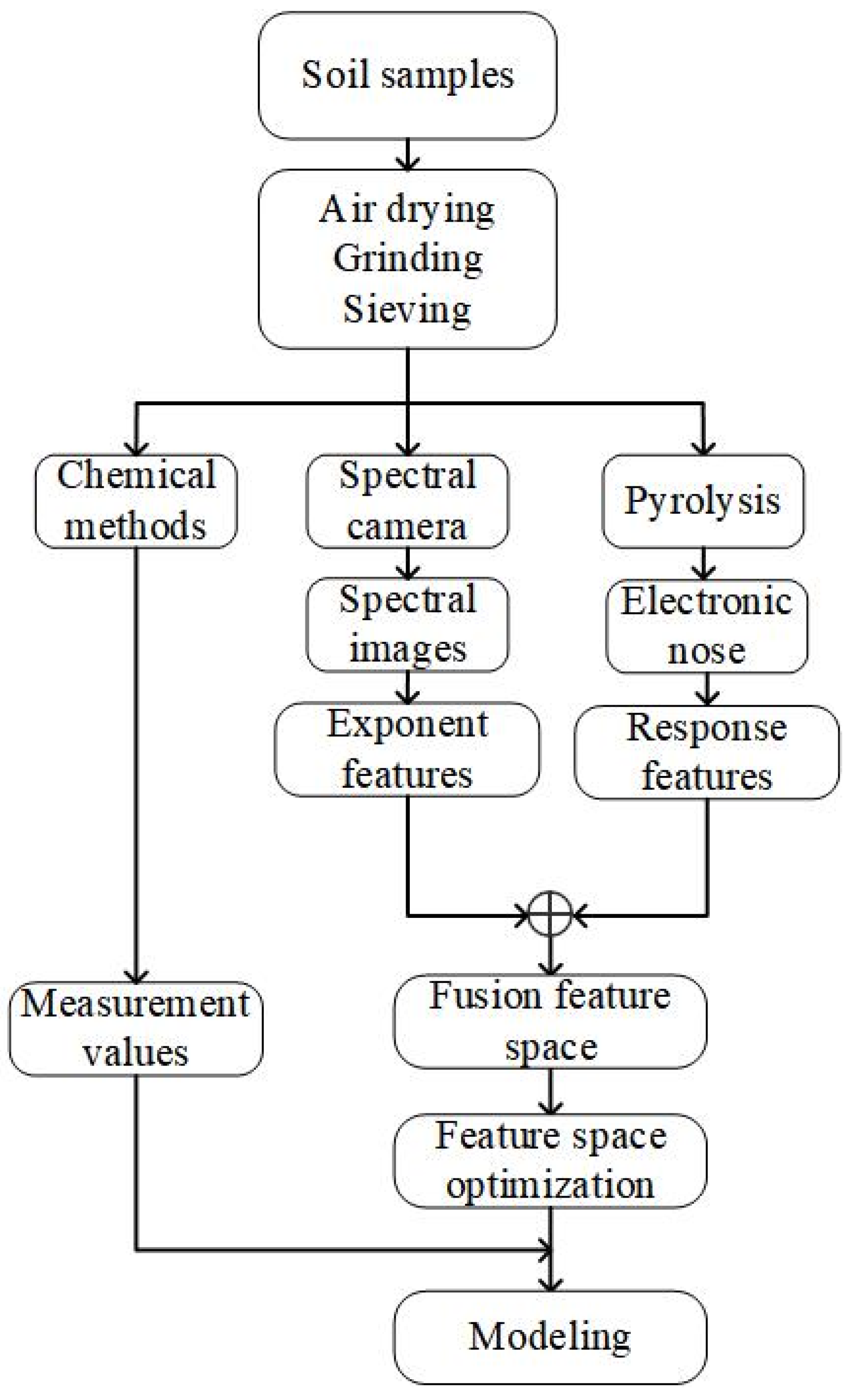 Agriculture 14 00605 g001