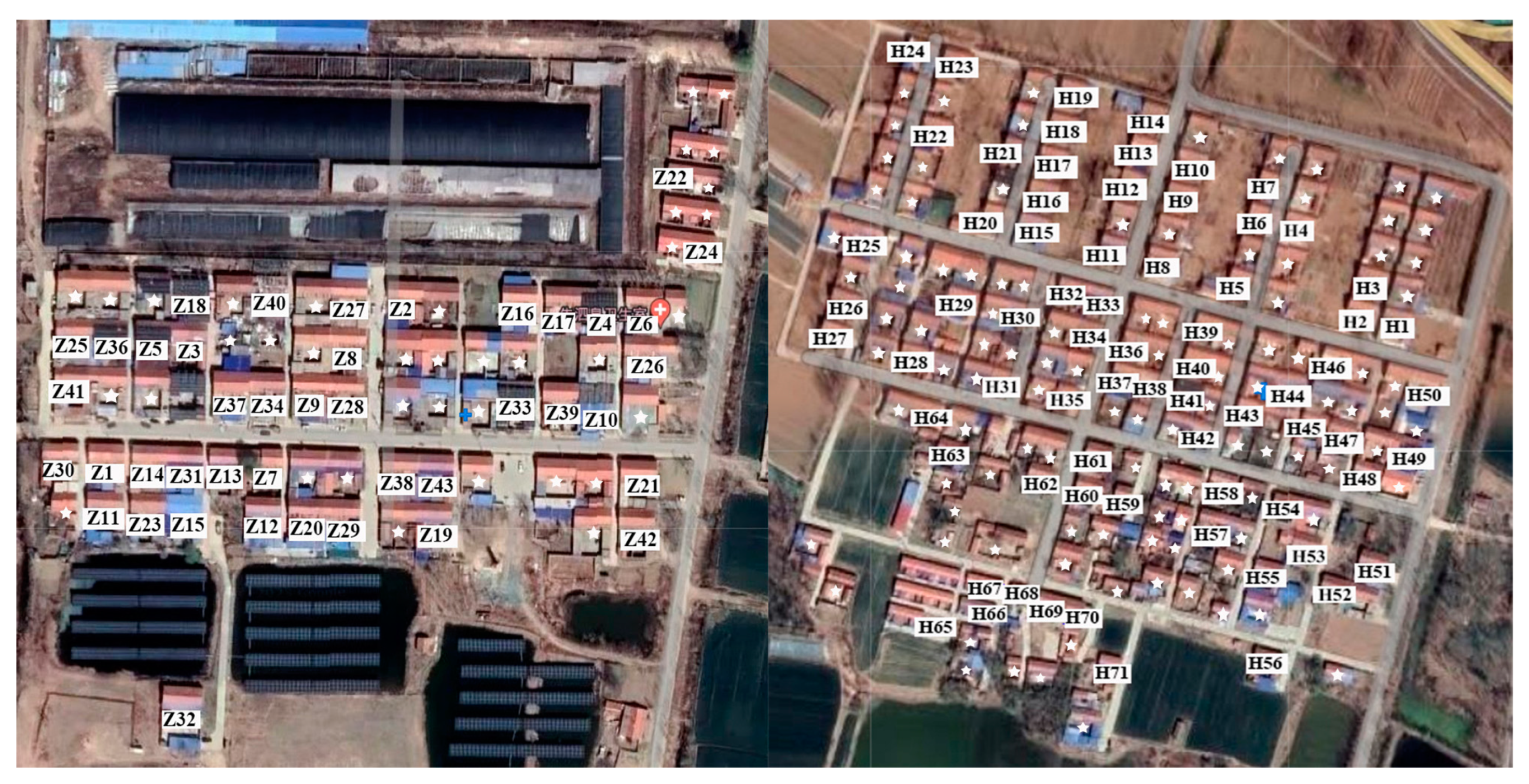 Agriculture 14 00649 g006