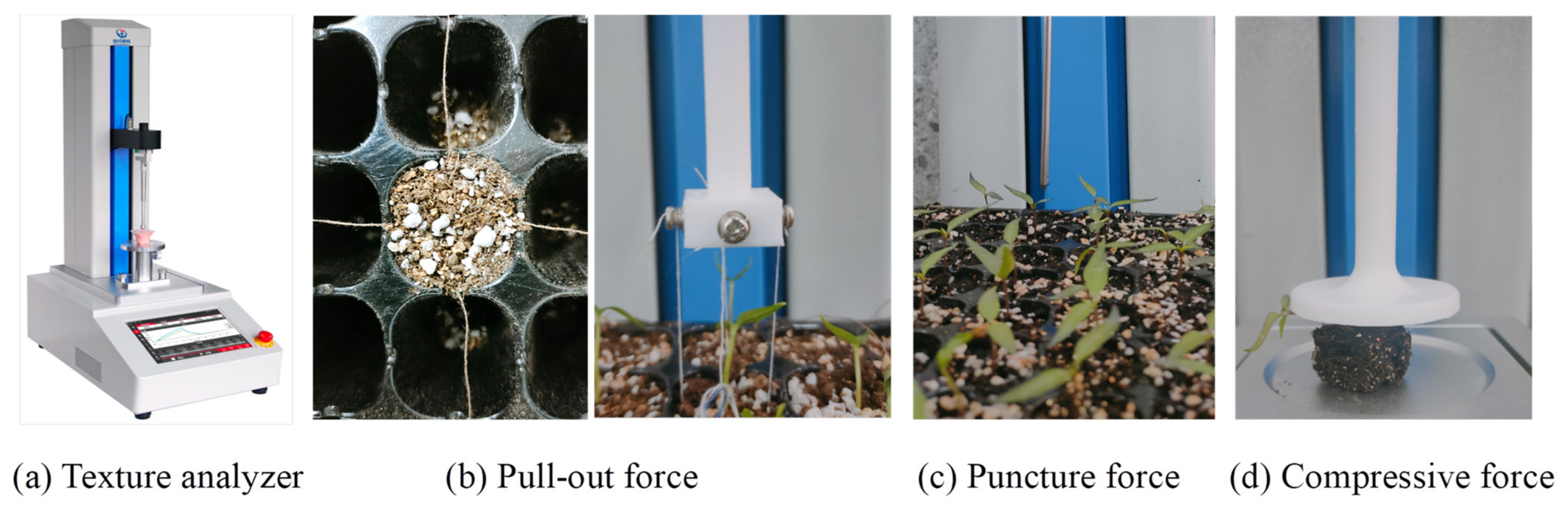 Agriculture 14 00651 g003