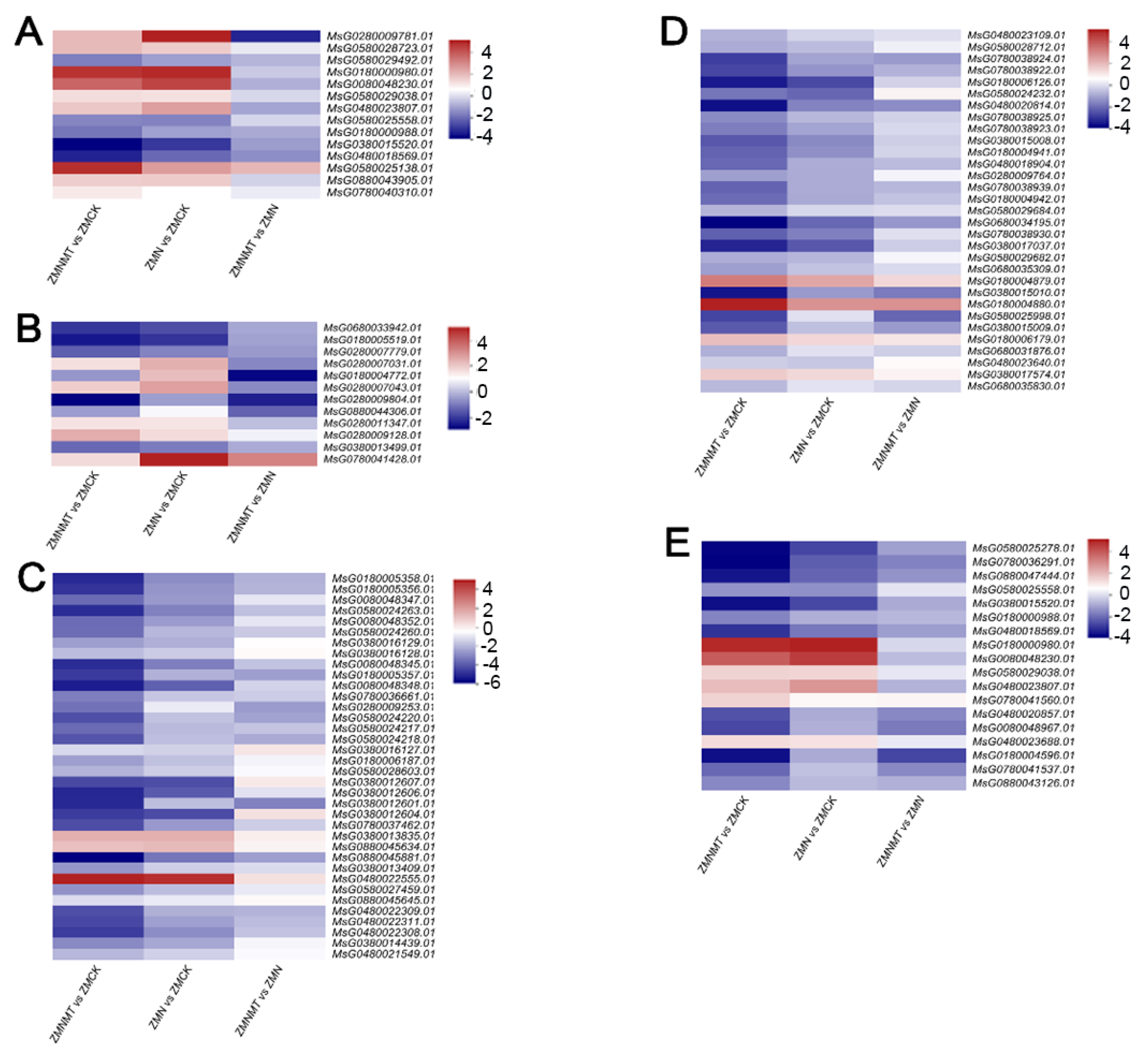 Agriculture 14 00661 g006