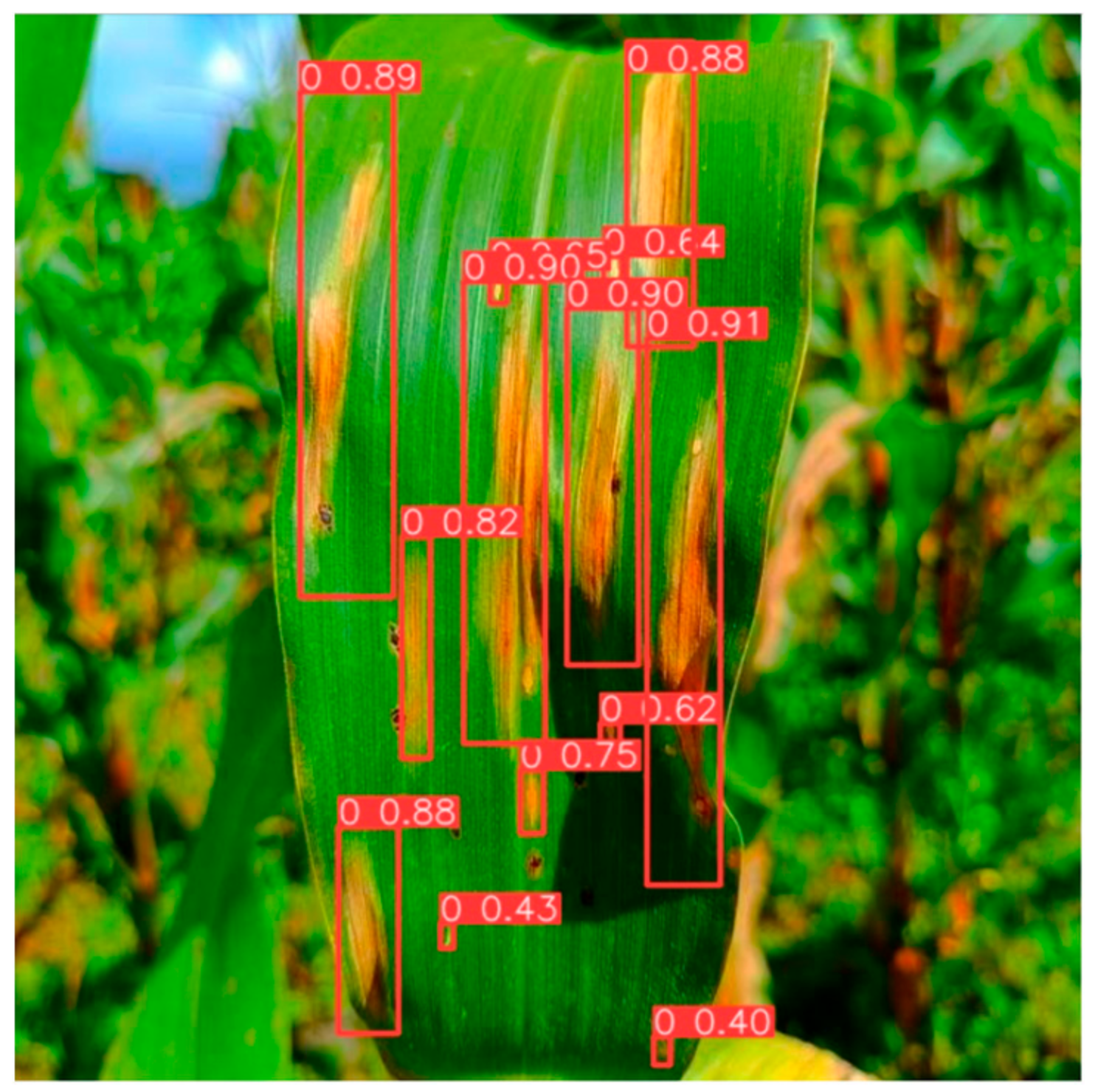 Agriculture 14 00666 g009