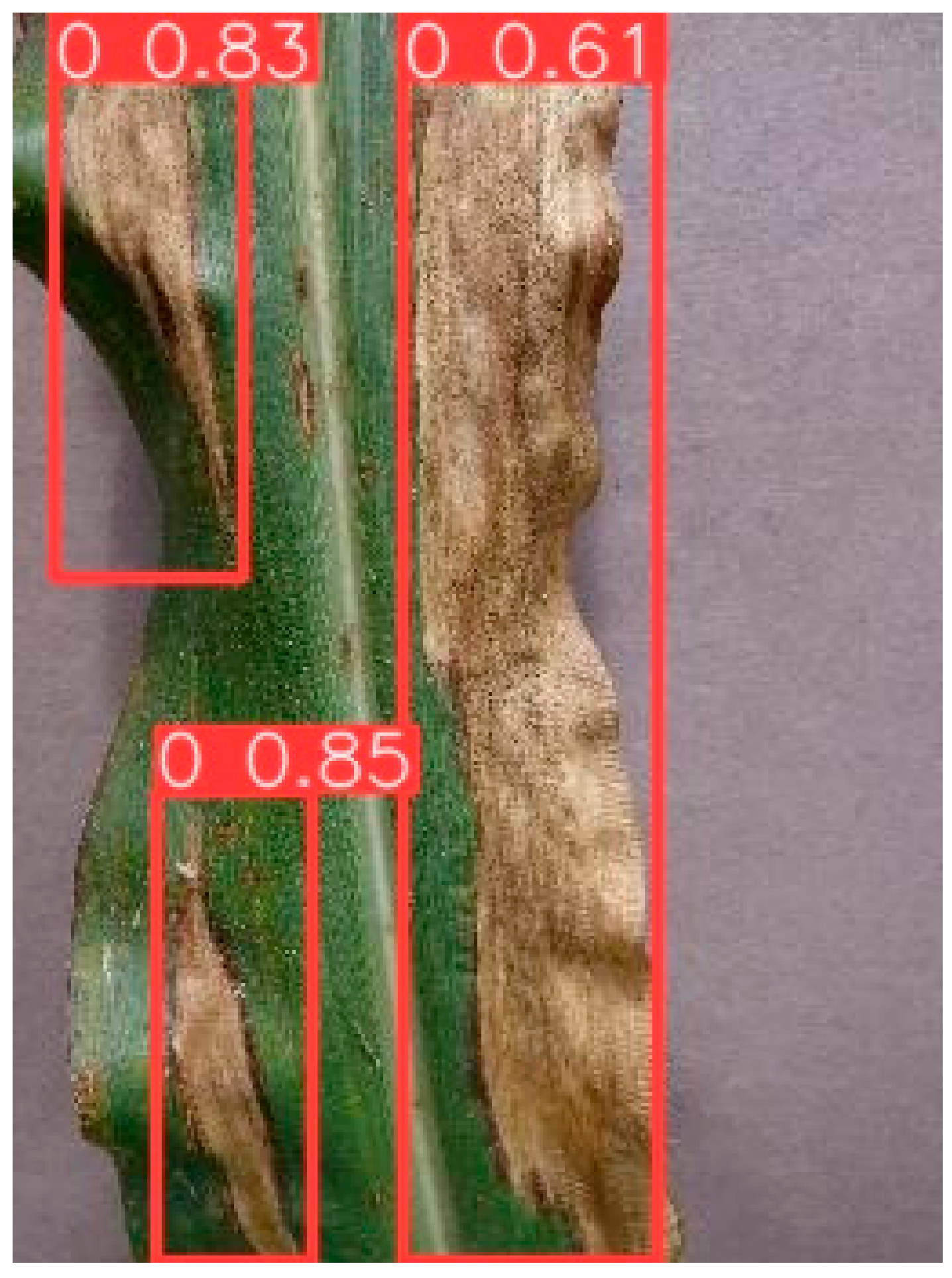 Agriculture 14 00666 g010