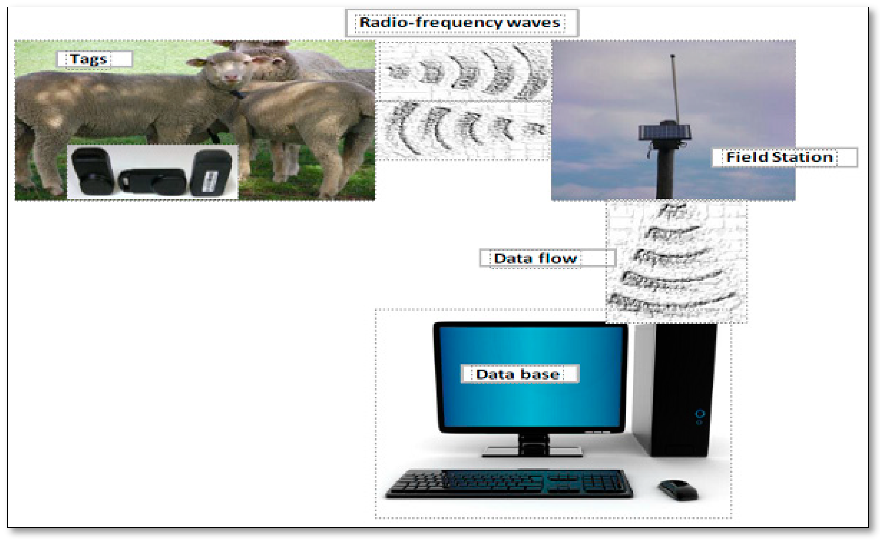 Agriculture 14 00696 g001