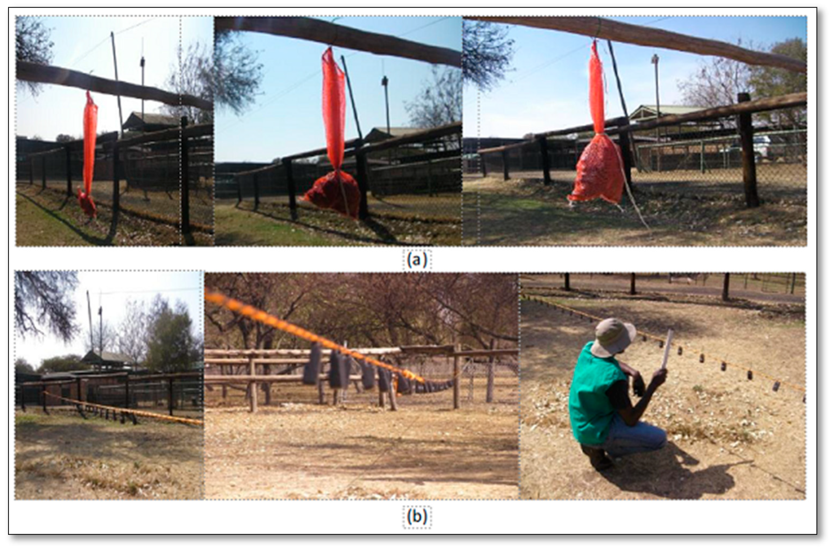 Agriculture 14 00696 g002