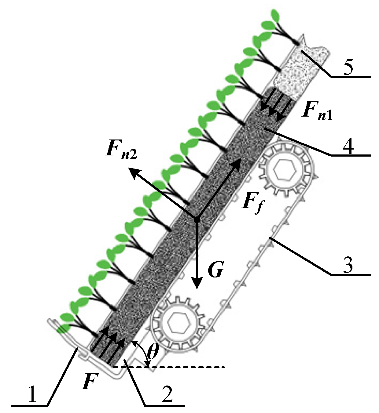Agriculture 14 00699 g003