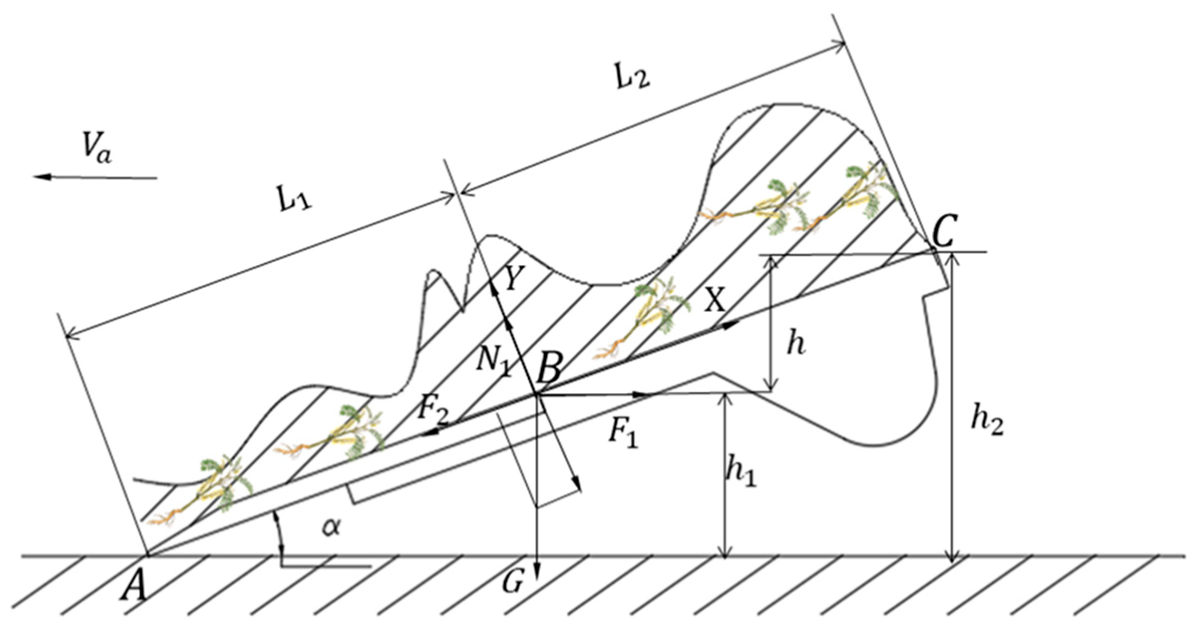 Agriculture 14 00701 g003