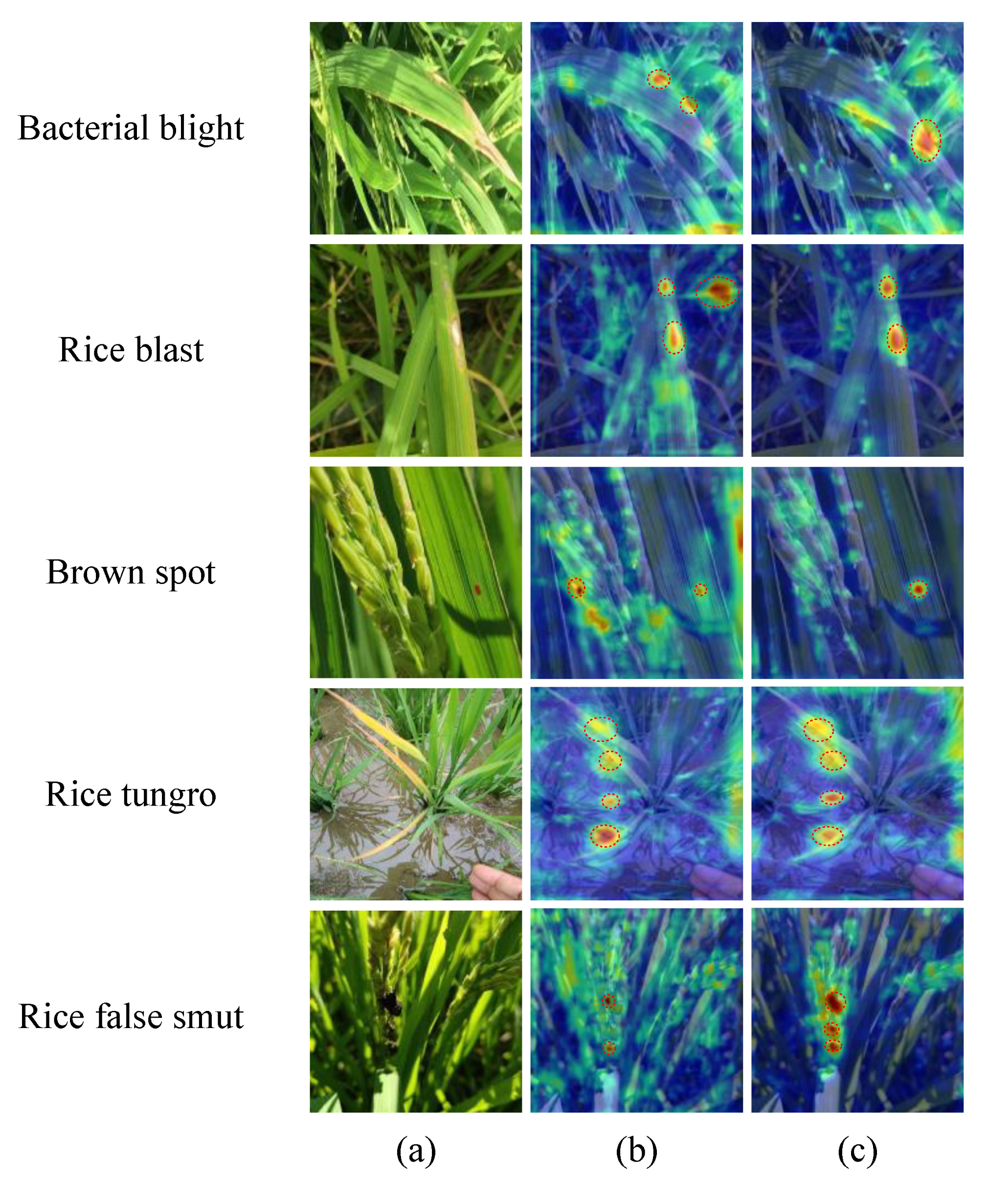 Agriculture 14 00709 g011