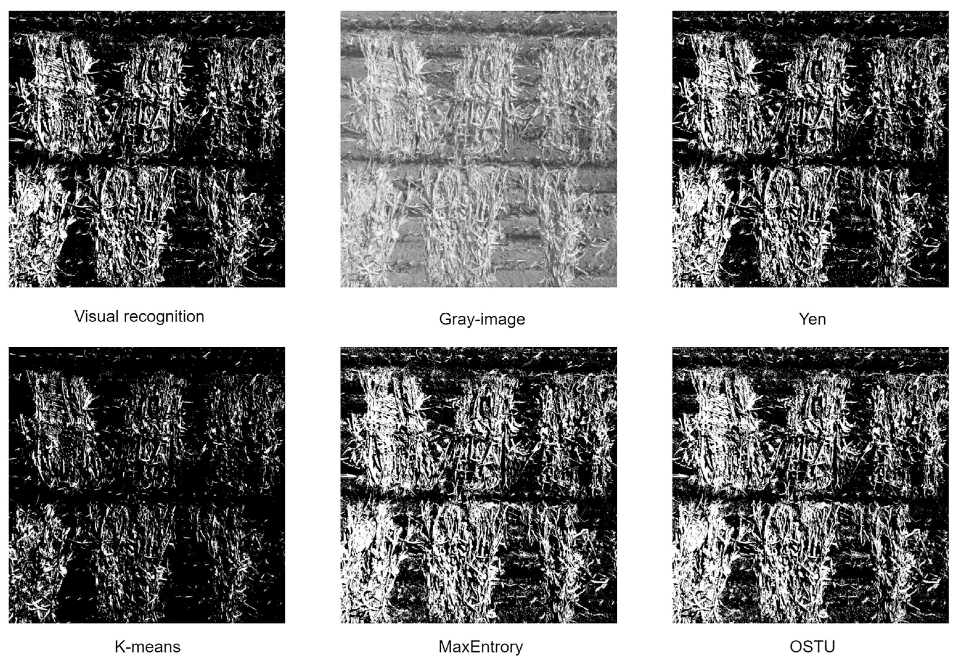 Agriculture 14 00711 g006 Agriculture 14 00711 g006