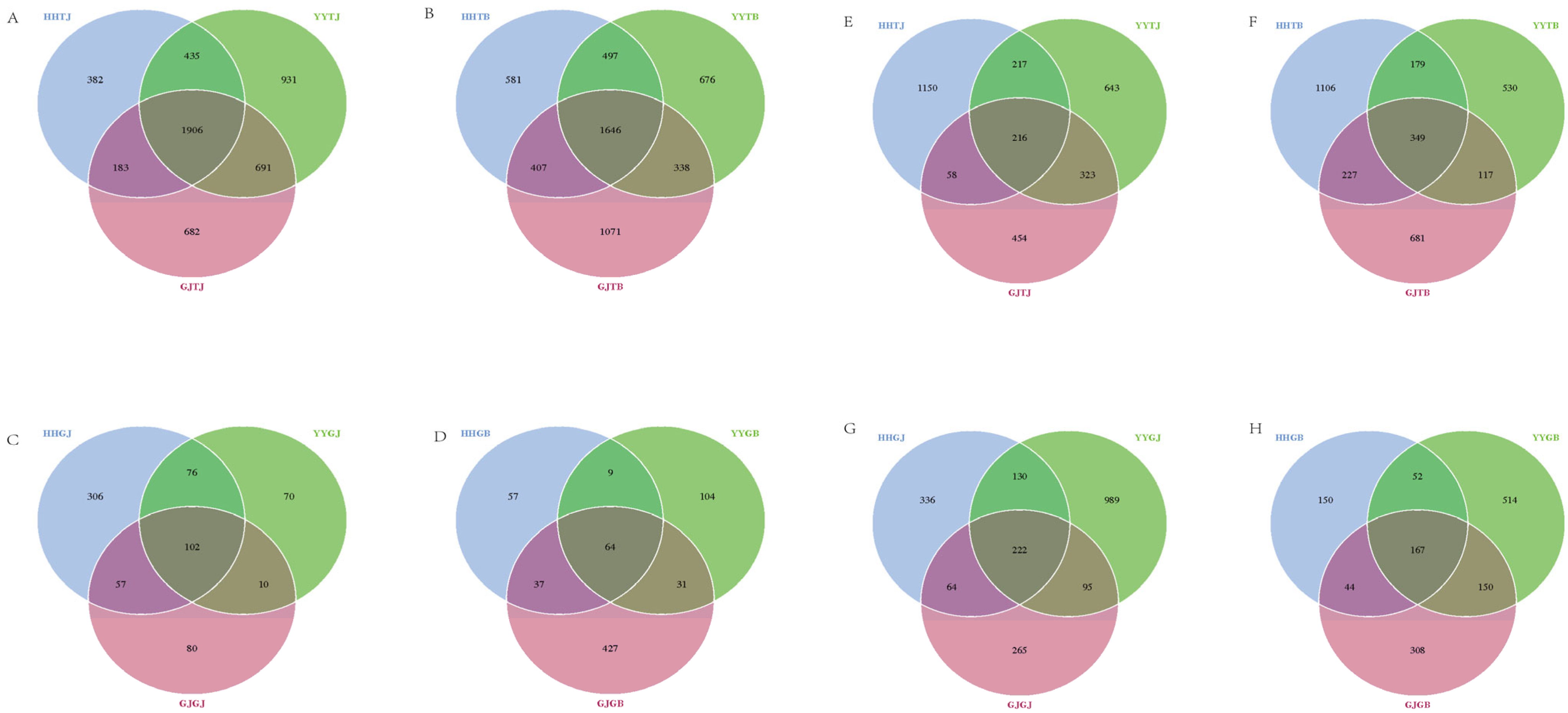Agriculture 14 00719 g002