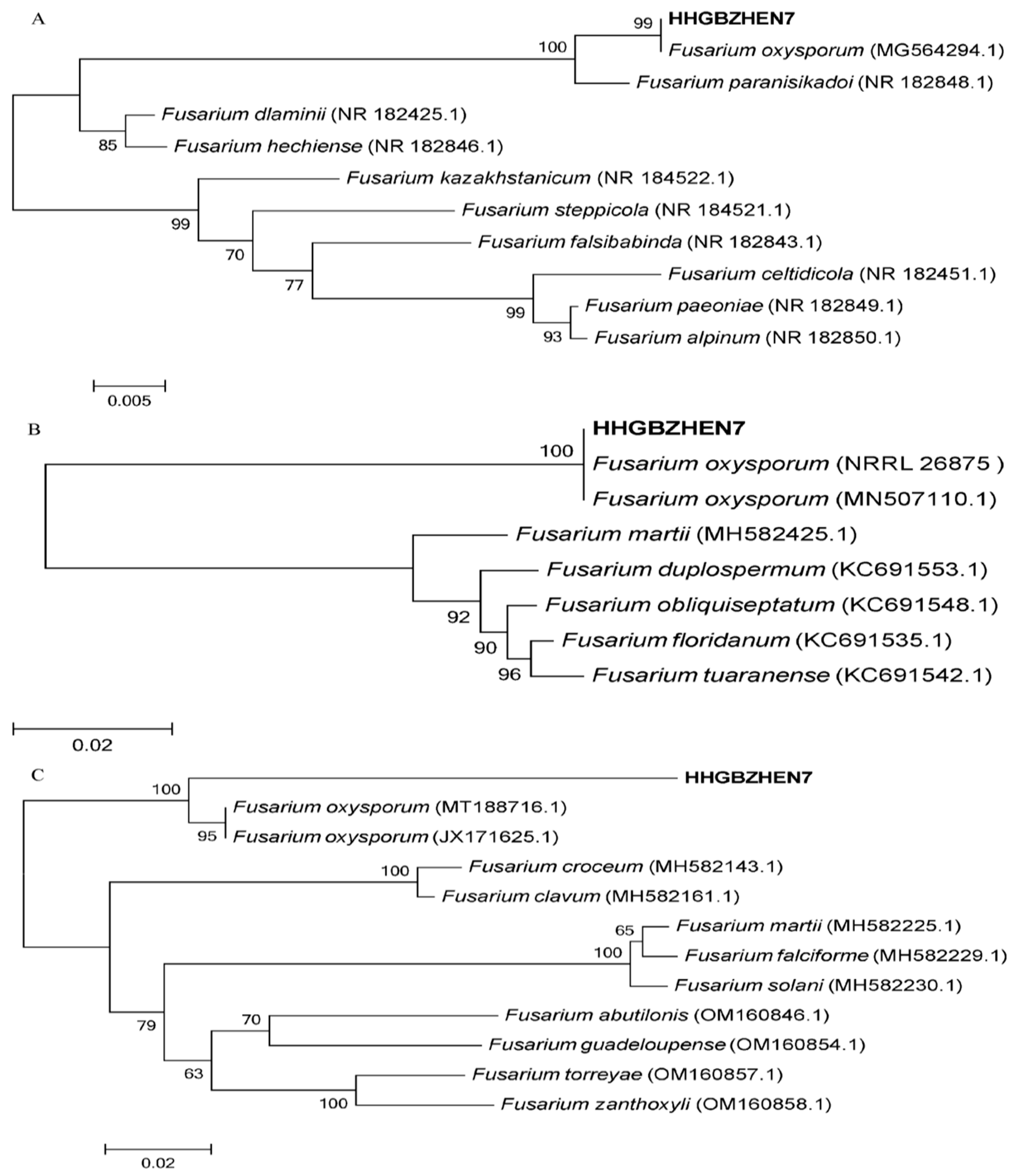 Agriculture 14 00719 g007