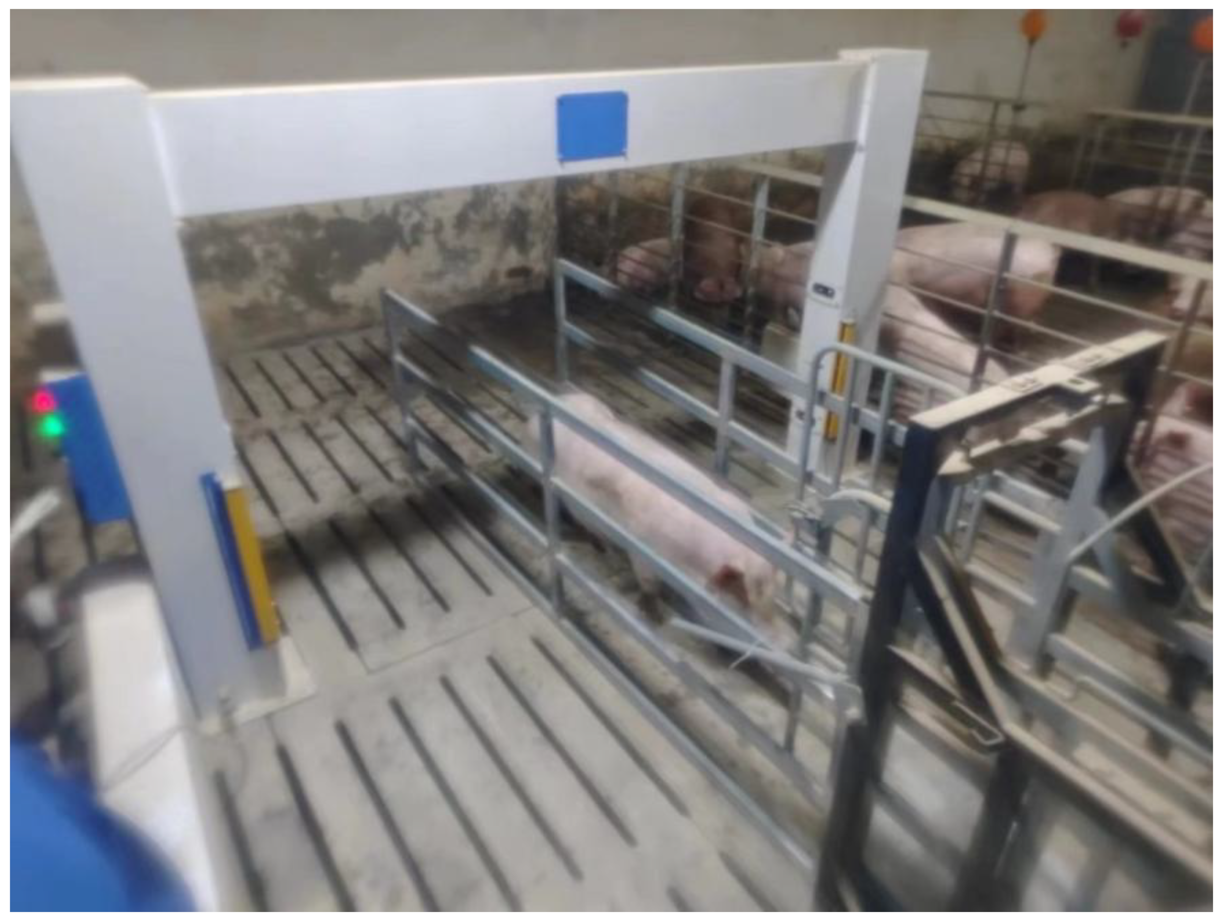 Agriculture 14 00720 g003