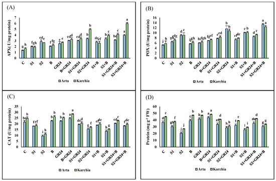 Agriculture 14 00732 g002