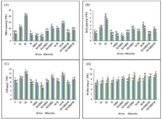 Agriculture 14 00732 g003