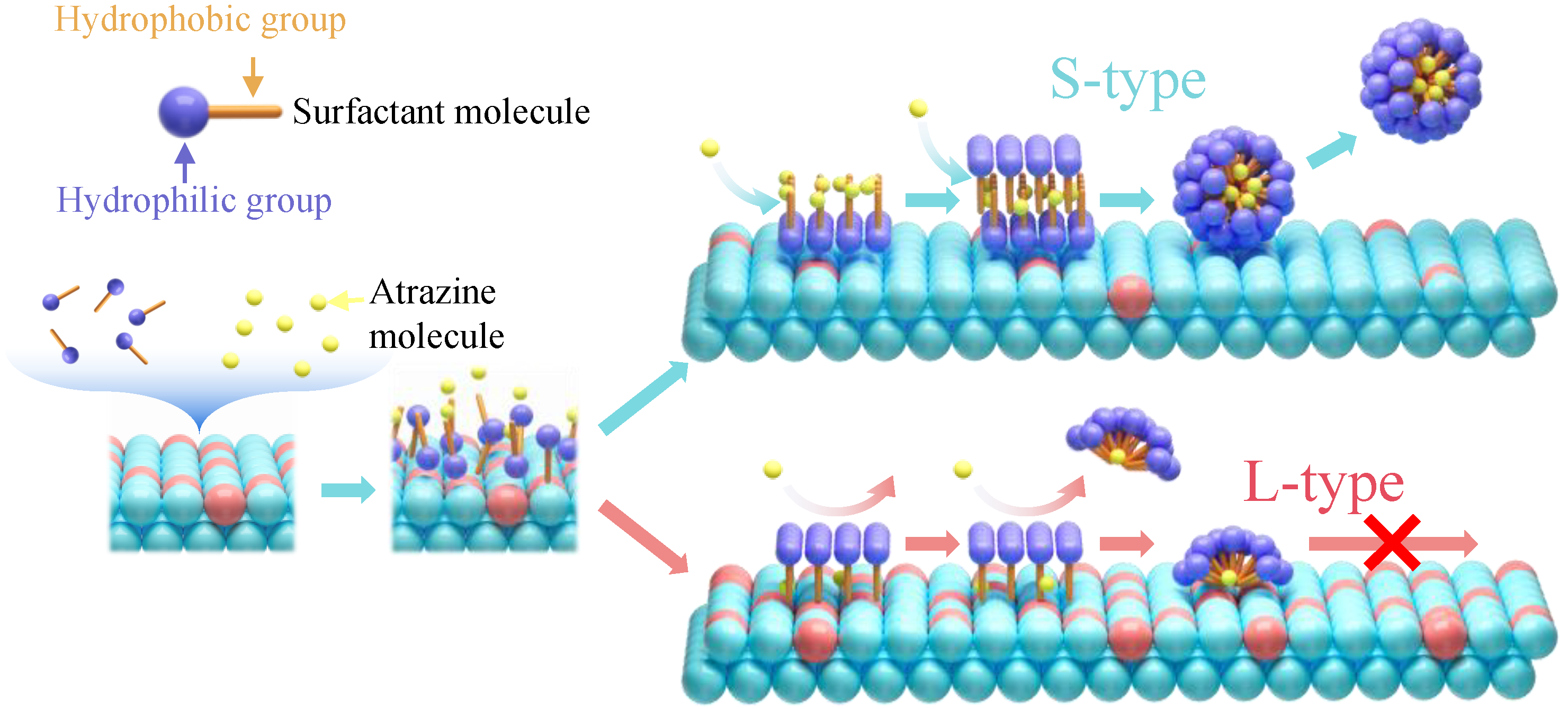 Agriculture 14 00733 g004
