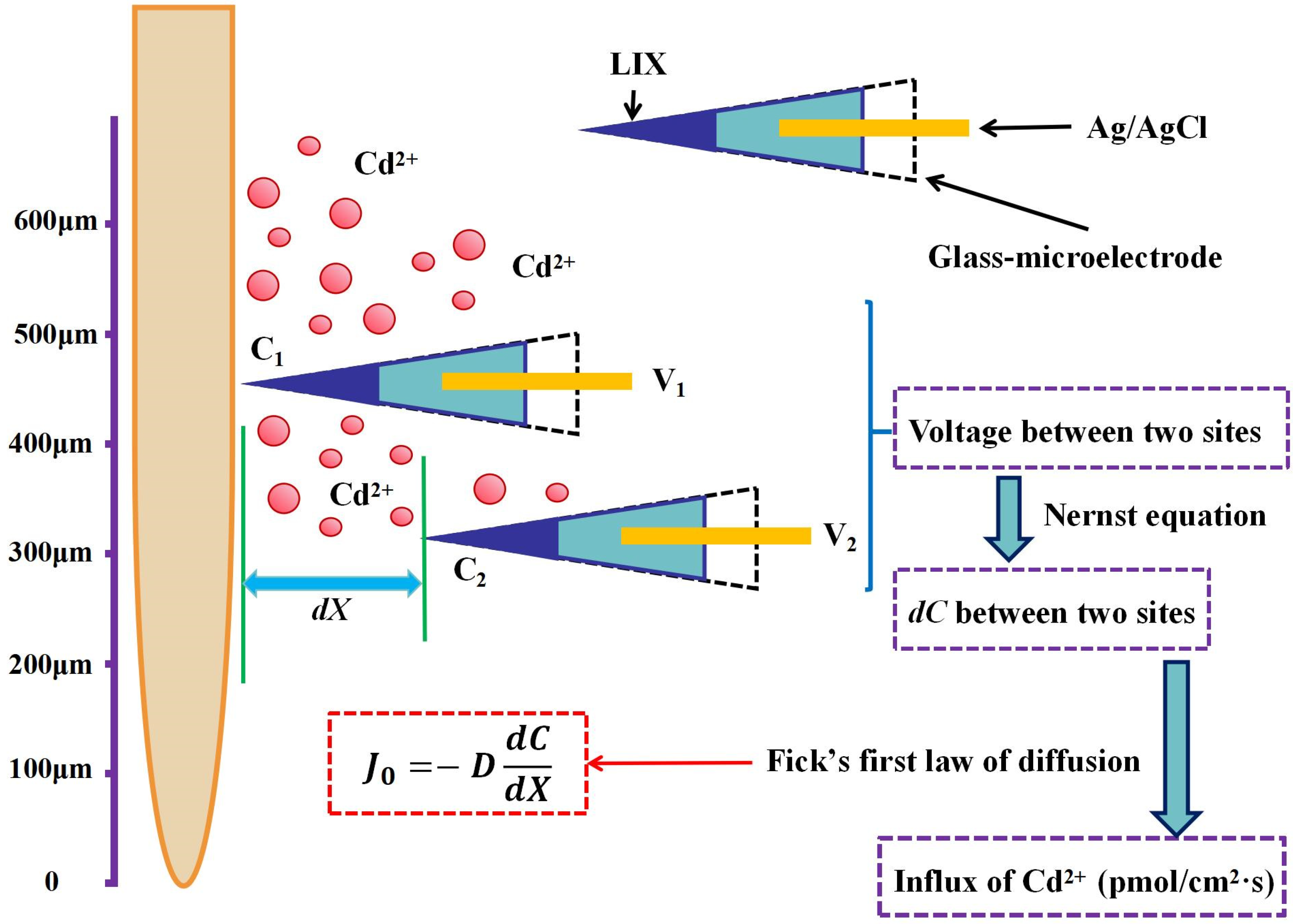 Agriculture 14 00742 g001