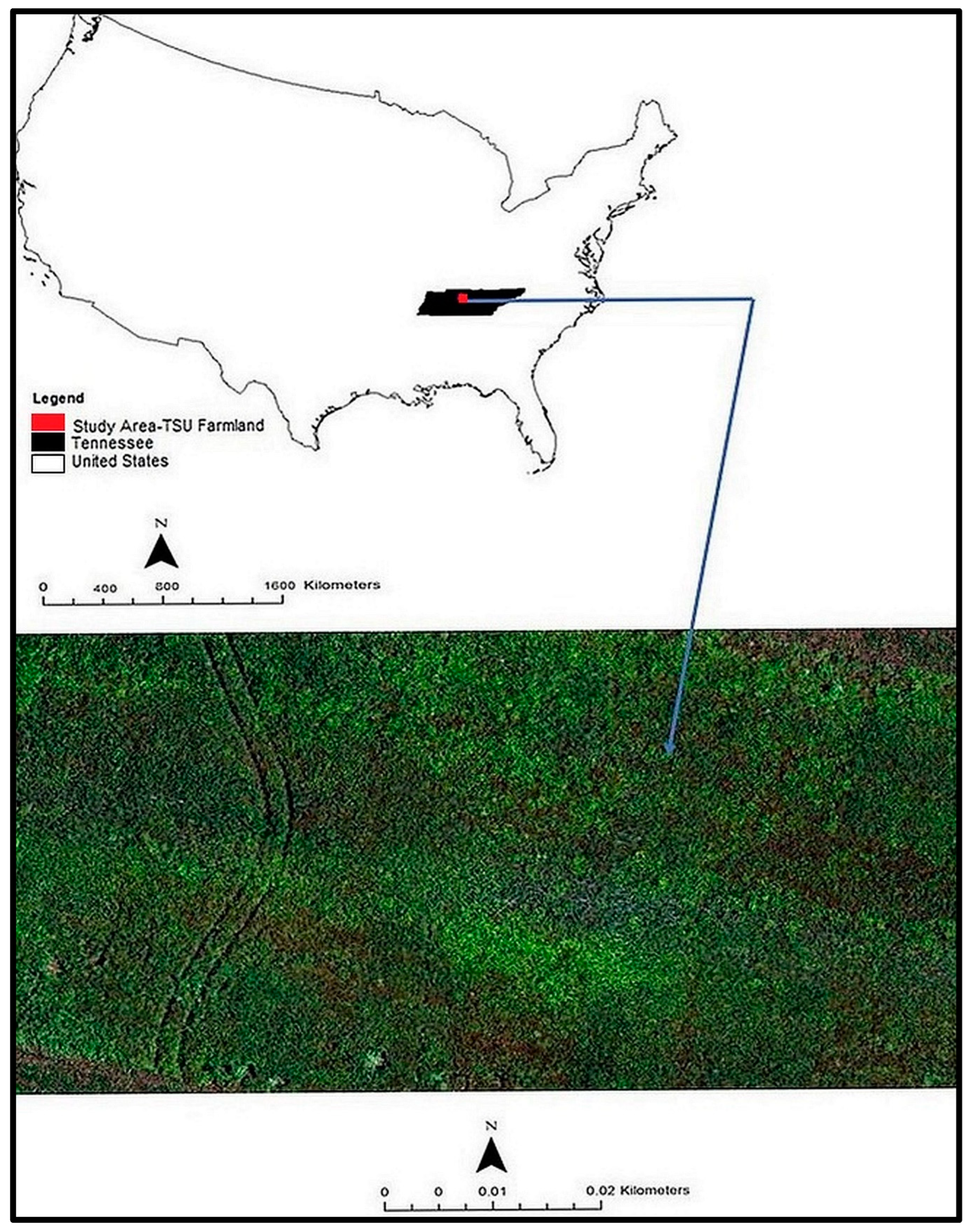 Agriculture 14 00760 g001 Agriculture 14 00760 g001