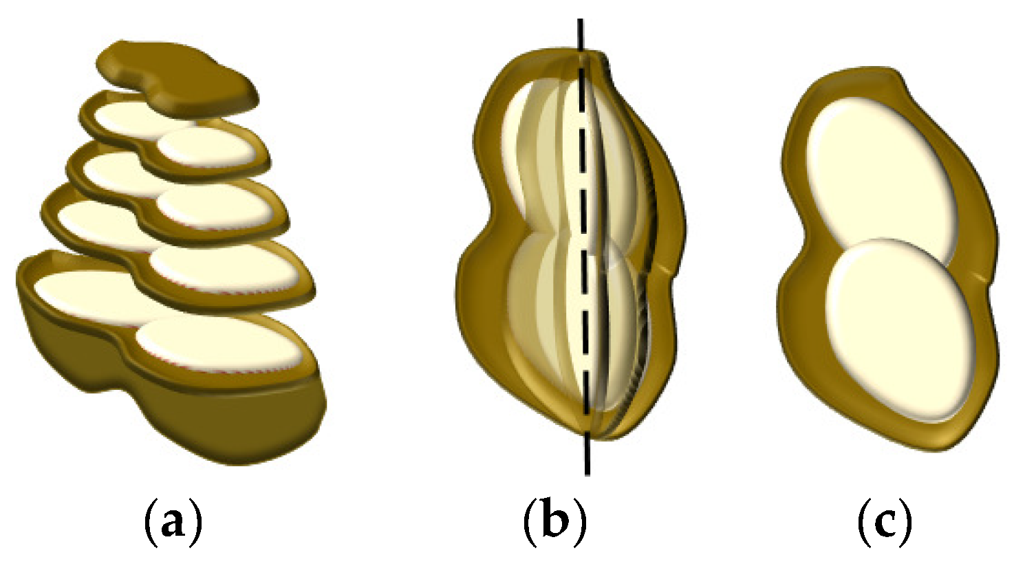 Agriculture 14 00765 g005