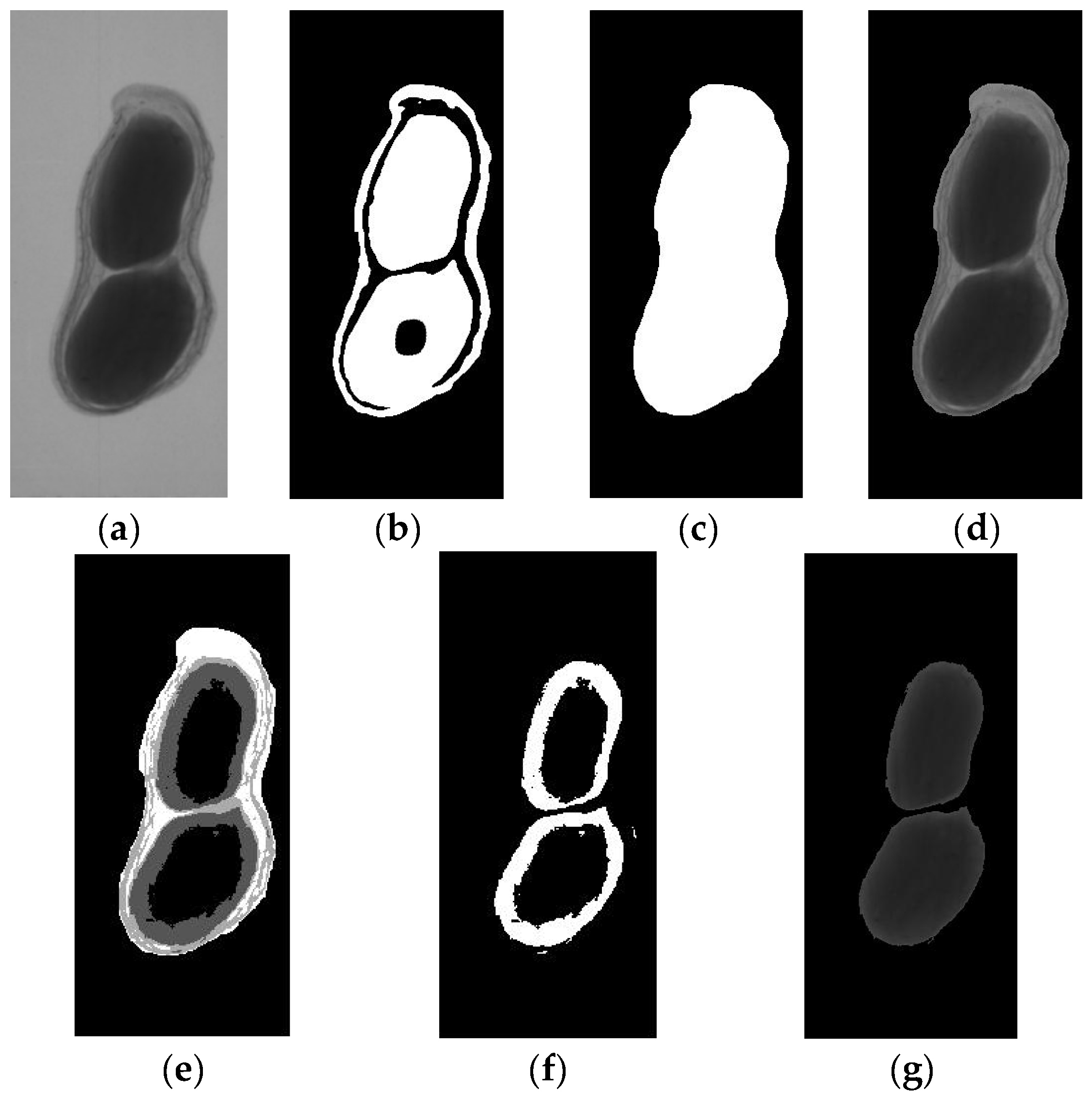 Agriculture 14 00765 g006